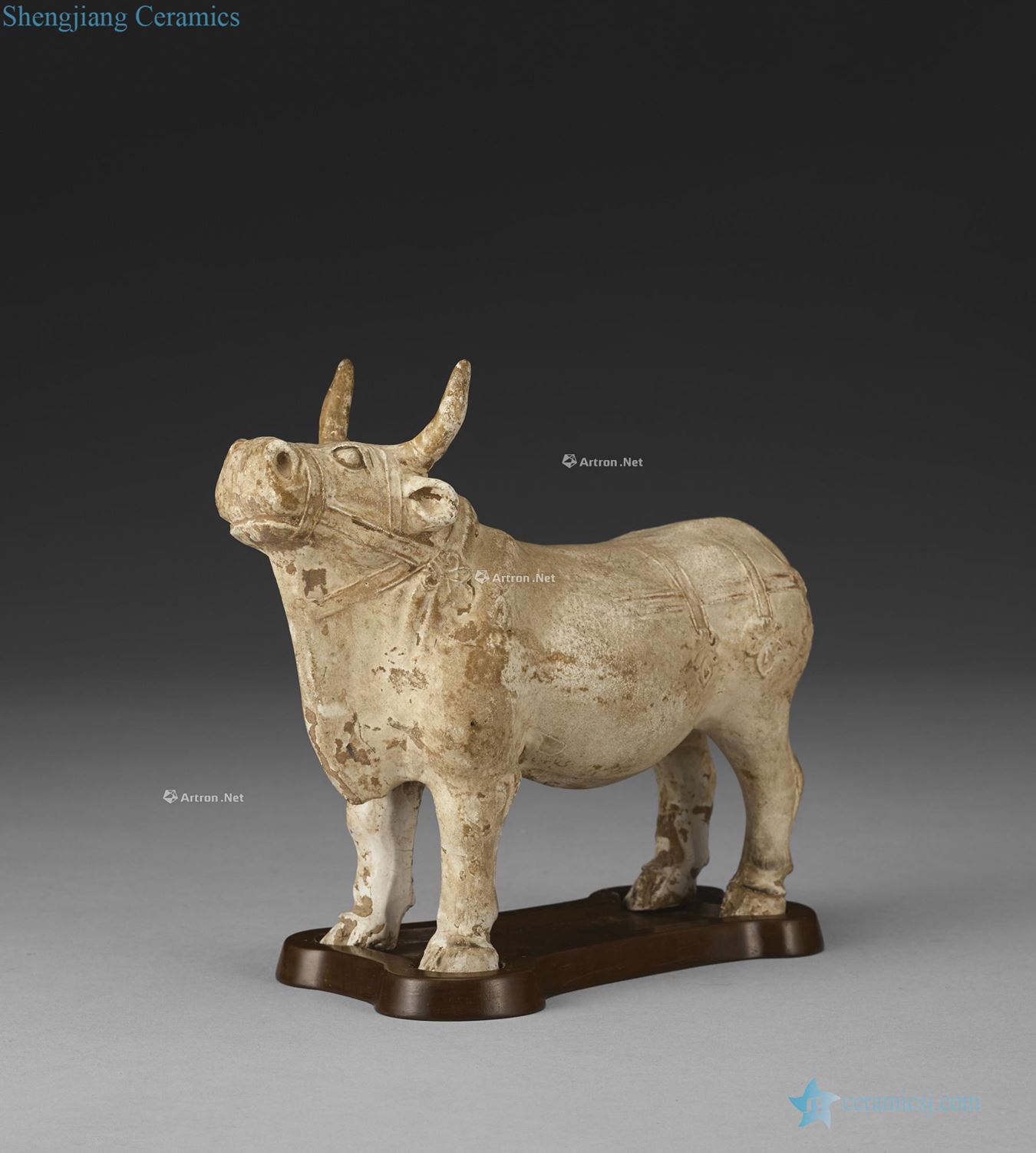 Tang dynasty pottery cattle