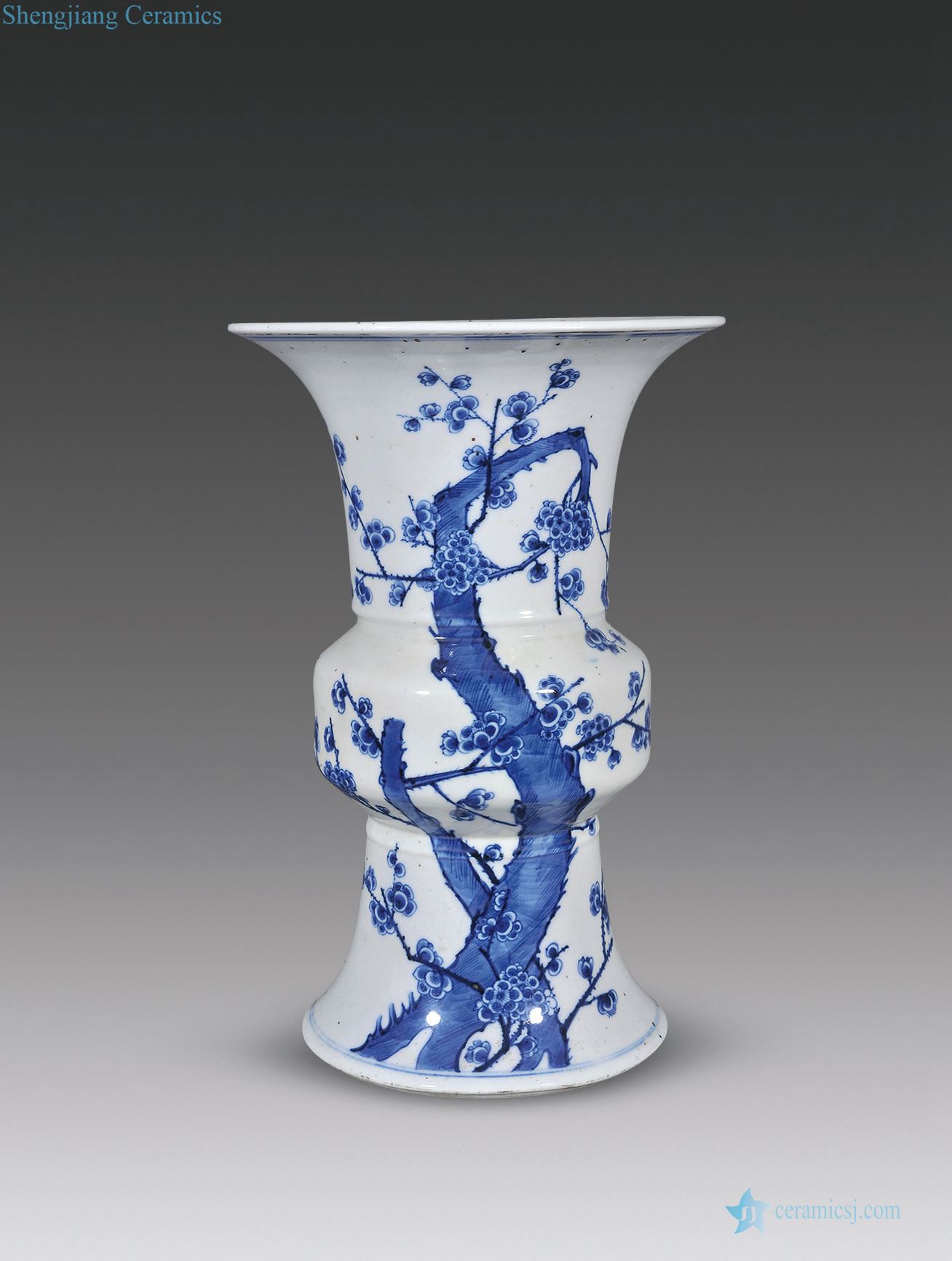 In late qing dynasty Blue and white plum flower pattern vase with flowers