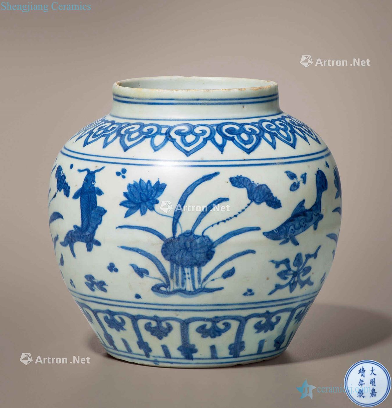 Ming jiajing Blue and white fish grain canister