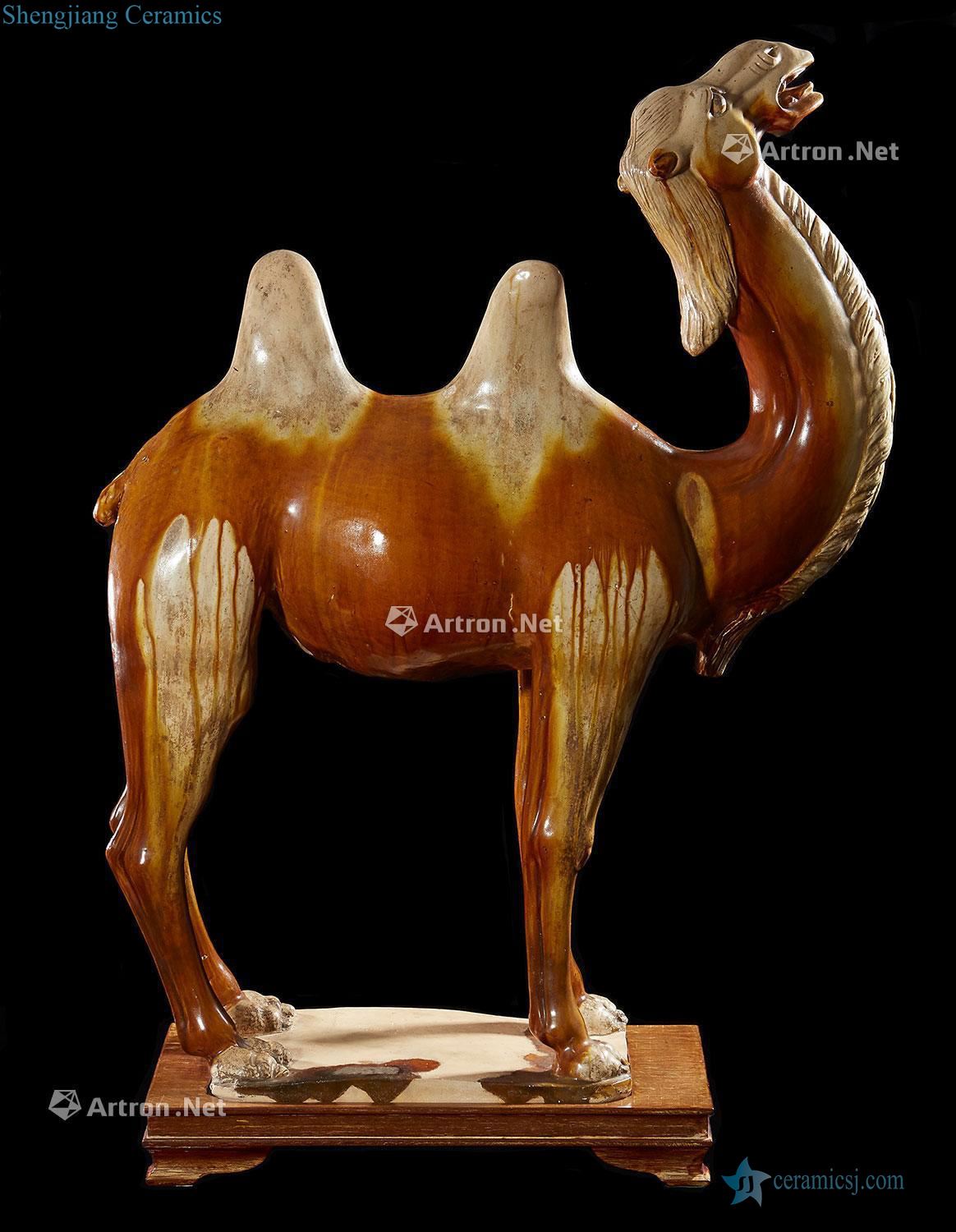 AN EXCEPTIONAL CHINESE GLAZED POTTERY FIGURE OF A BACTRIAN TWO - HUMPED CAMEL