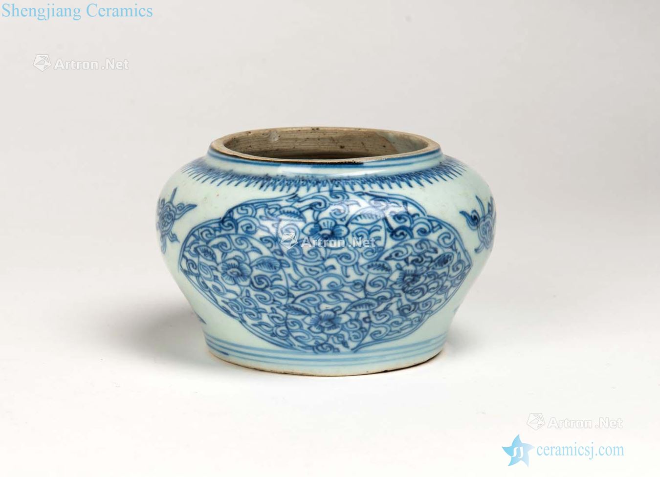 Qing porcelain jar in the 19th century