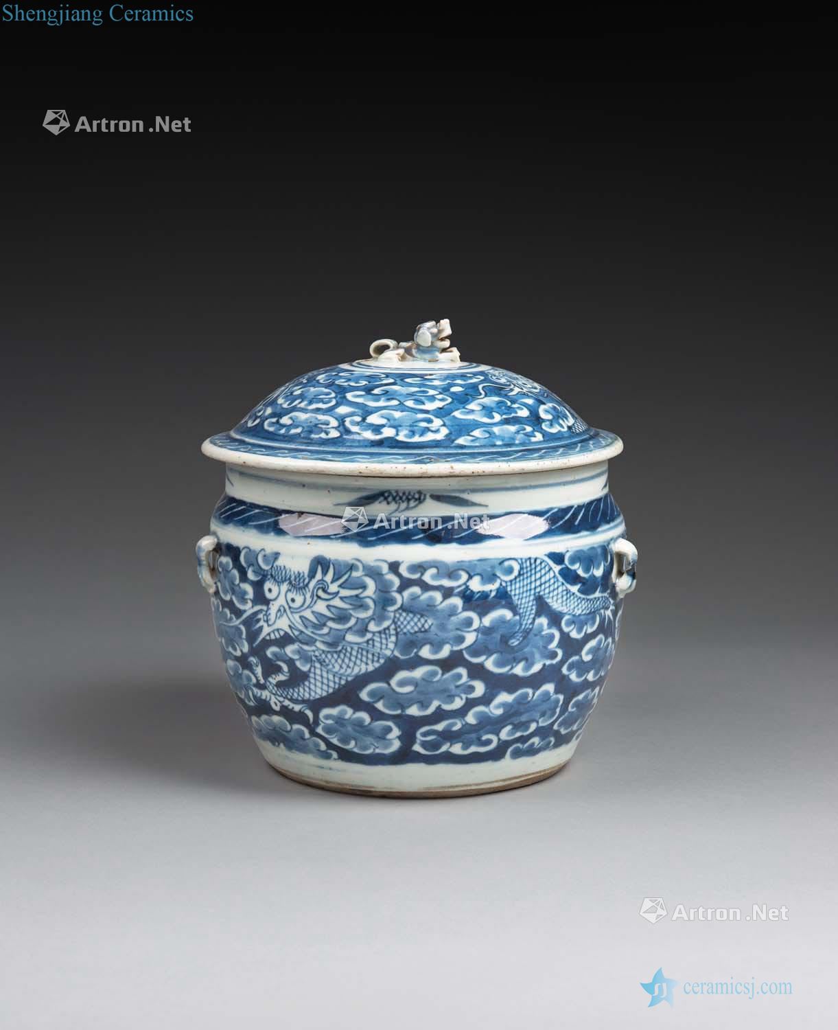 Qing porcelain jar in the 19th century