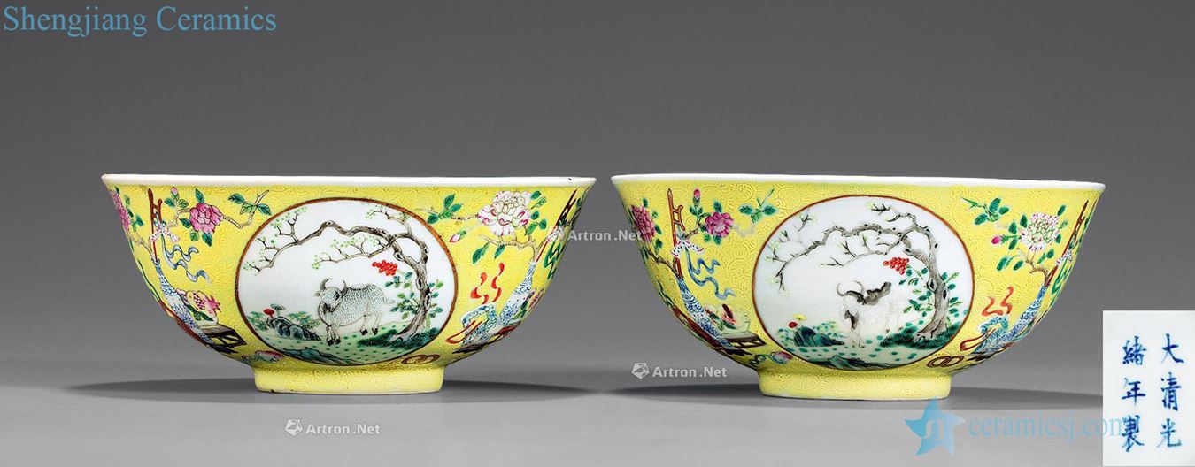 Pastel reign of qing emperor guangxu three Yang kaitai bowl (a)