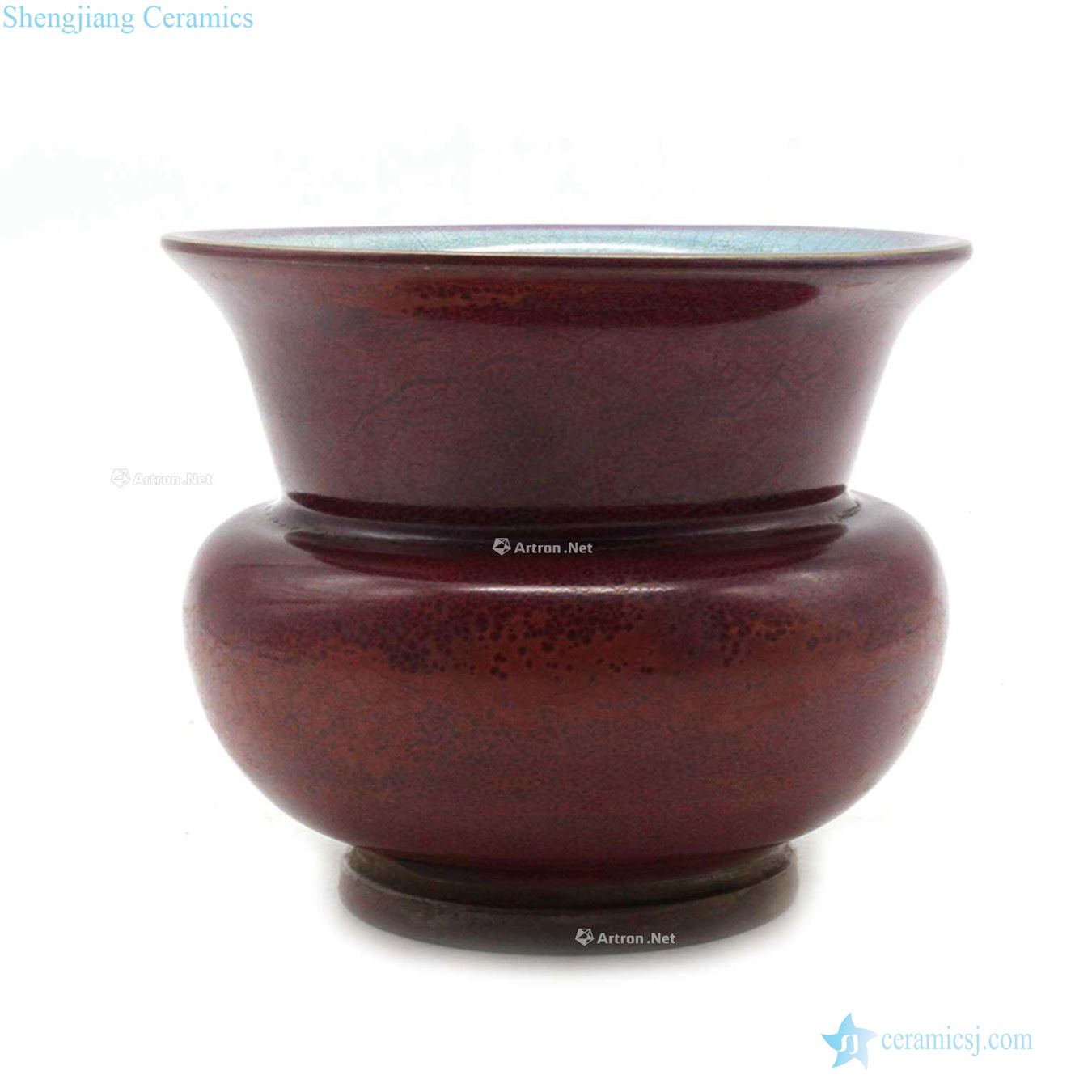 Chinese flowering crabapple red flower pot masterpieces