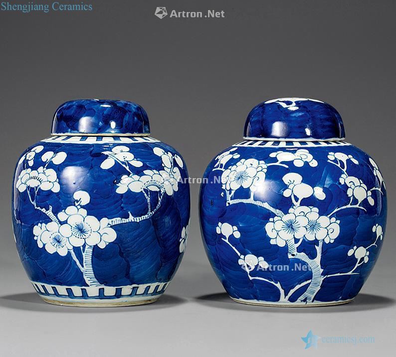 Qing guangxu Ice plum canister (a)