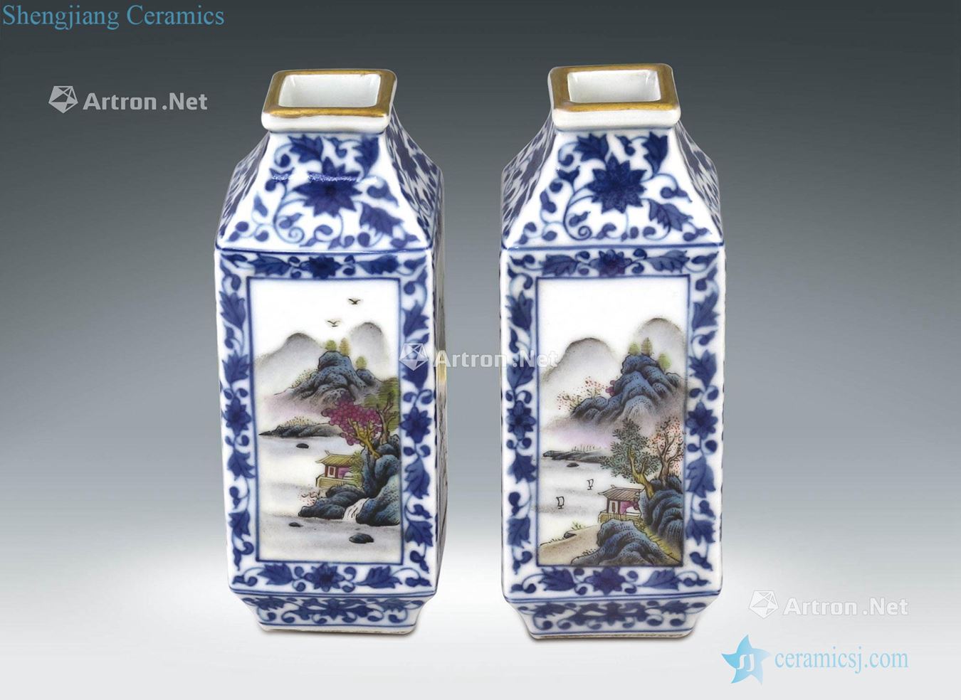 Qing porcelain medallion painting landscape grain square bottle (a)