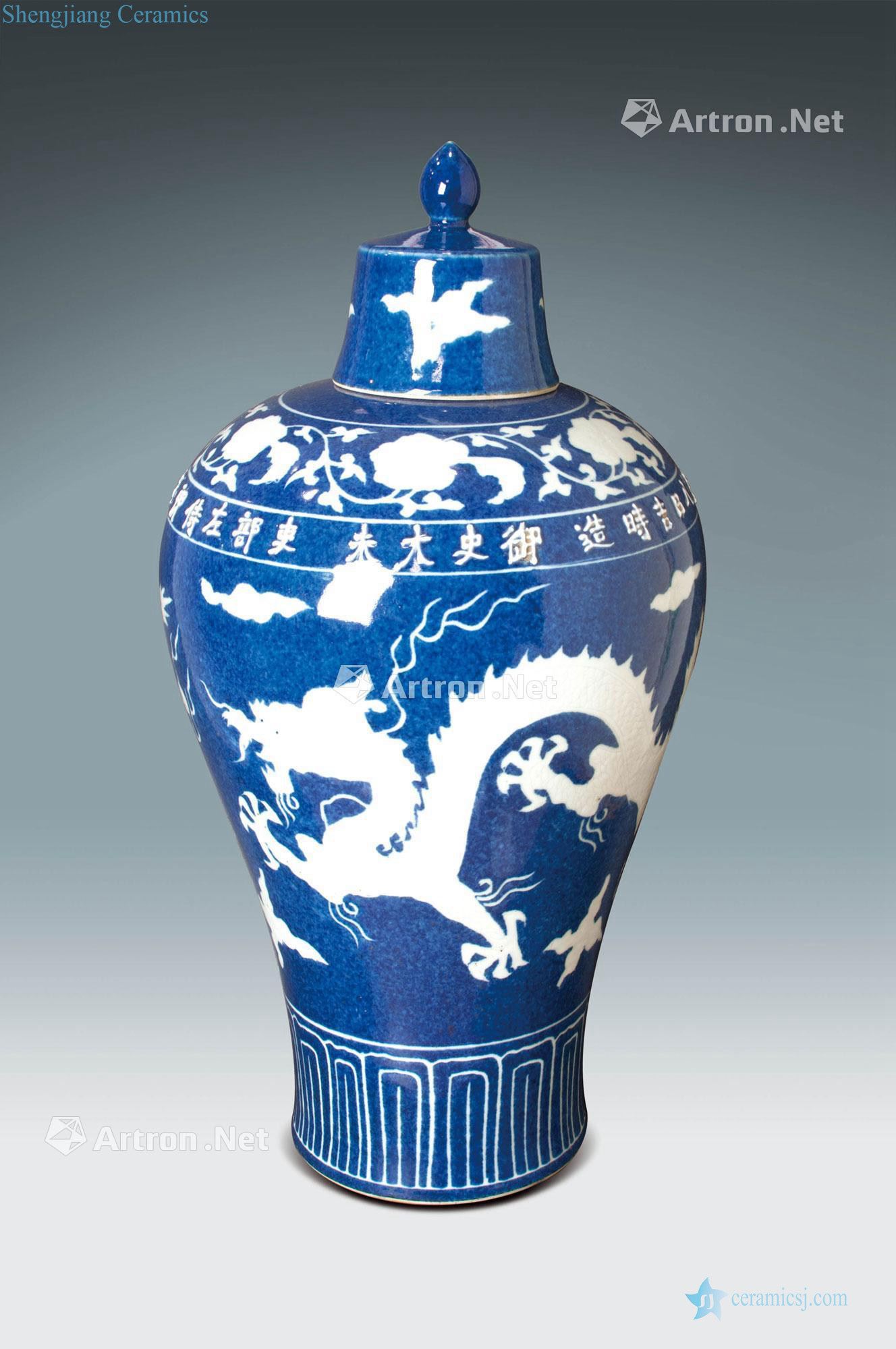 Ming Blue glaze white Long Mei bottles