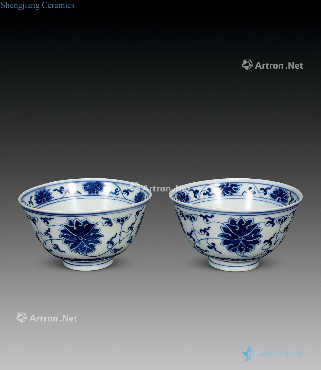 "Qing guangxu reign of qing emperor guangxu years," kind of blue and white tie up branch lotus bowl (a)