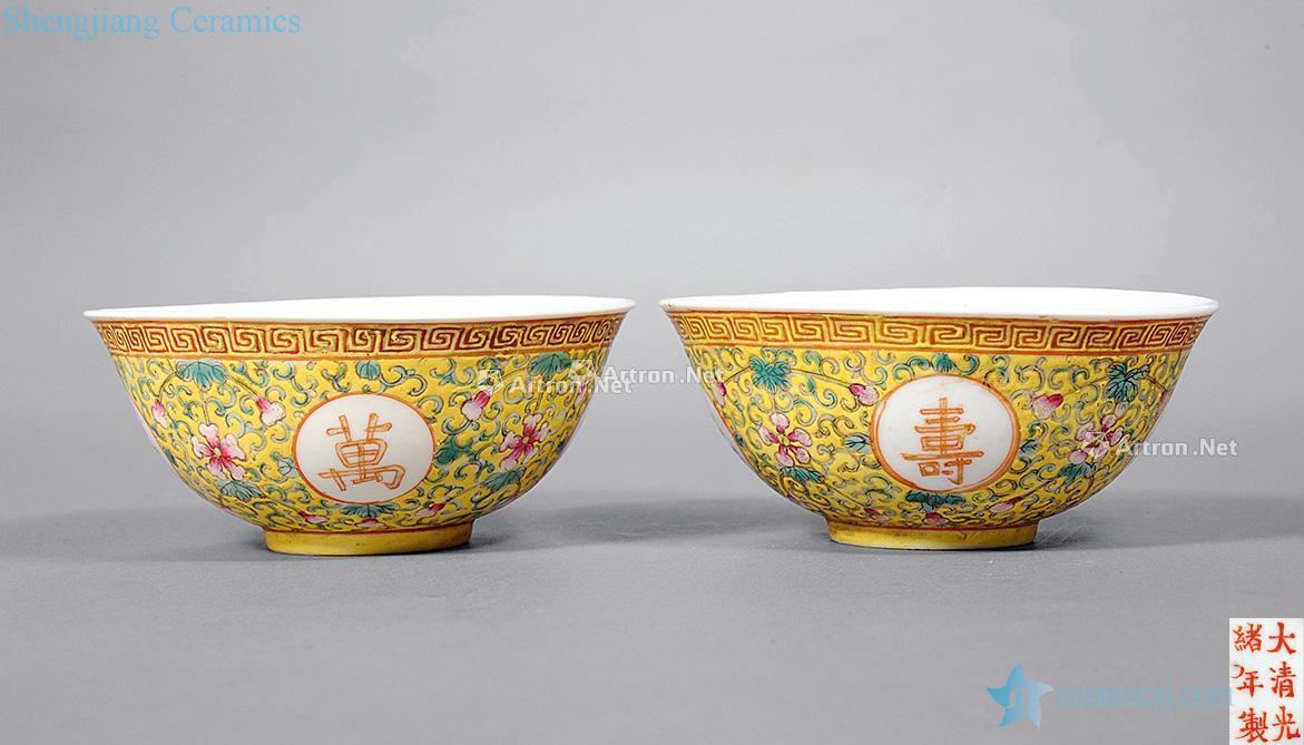 Yellow to enamel stays around branches bowl (a)