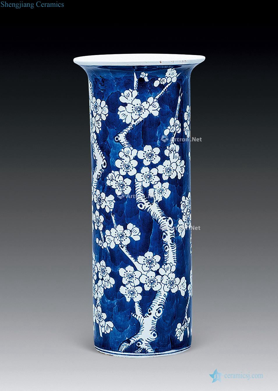 guangxu Blue and white salted and dried plum bottle