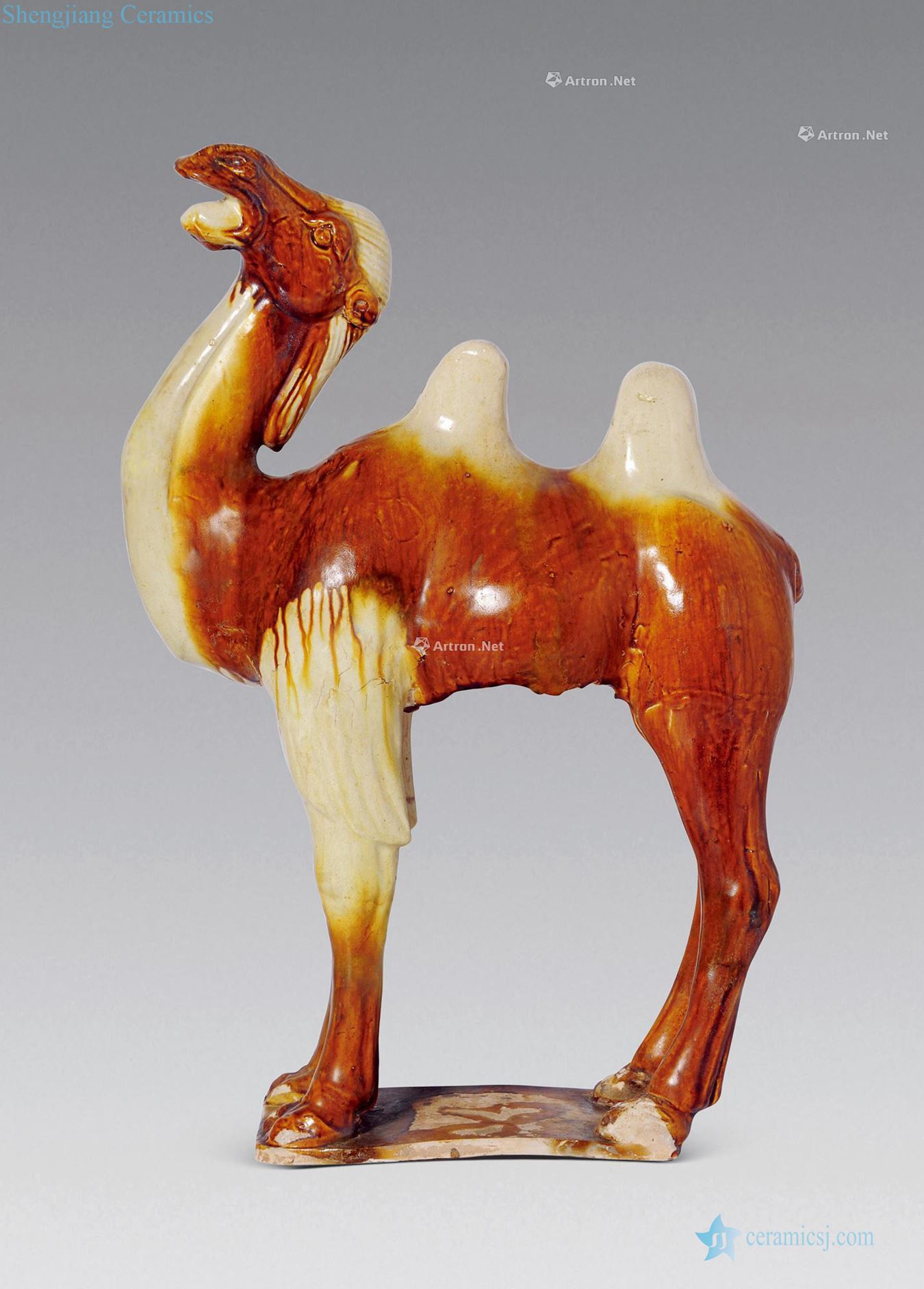 Tang brown glaze bactrian camels