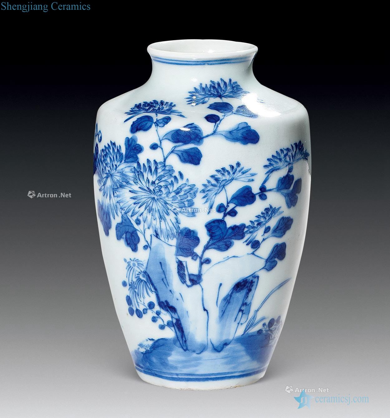 qing Blue and white ammonite grain bottle