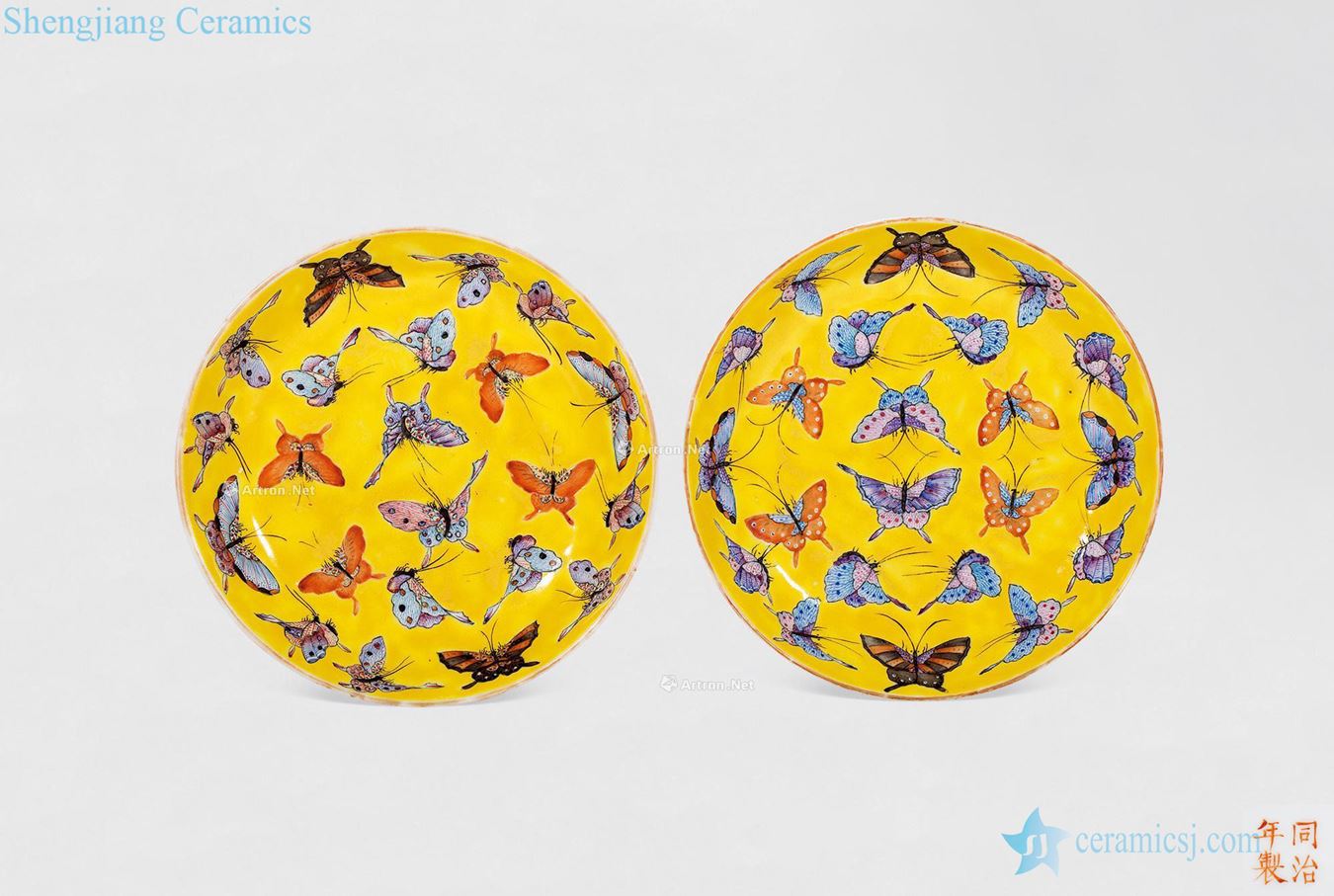 pathogenesis Yellow powder enamel to the butterfly tray (a)