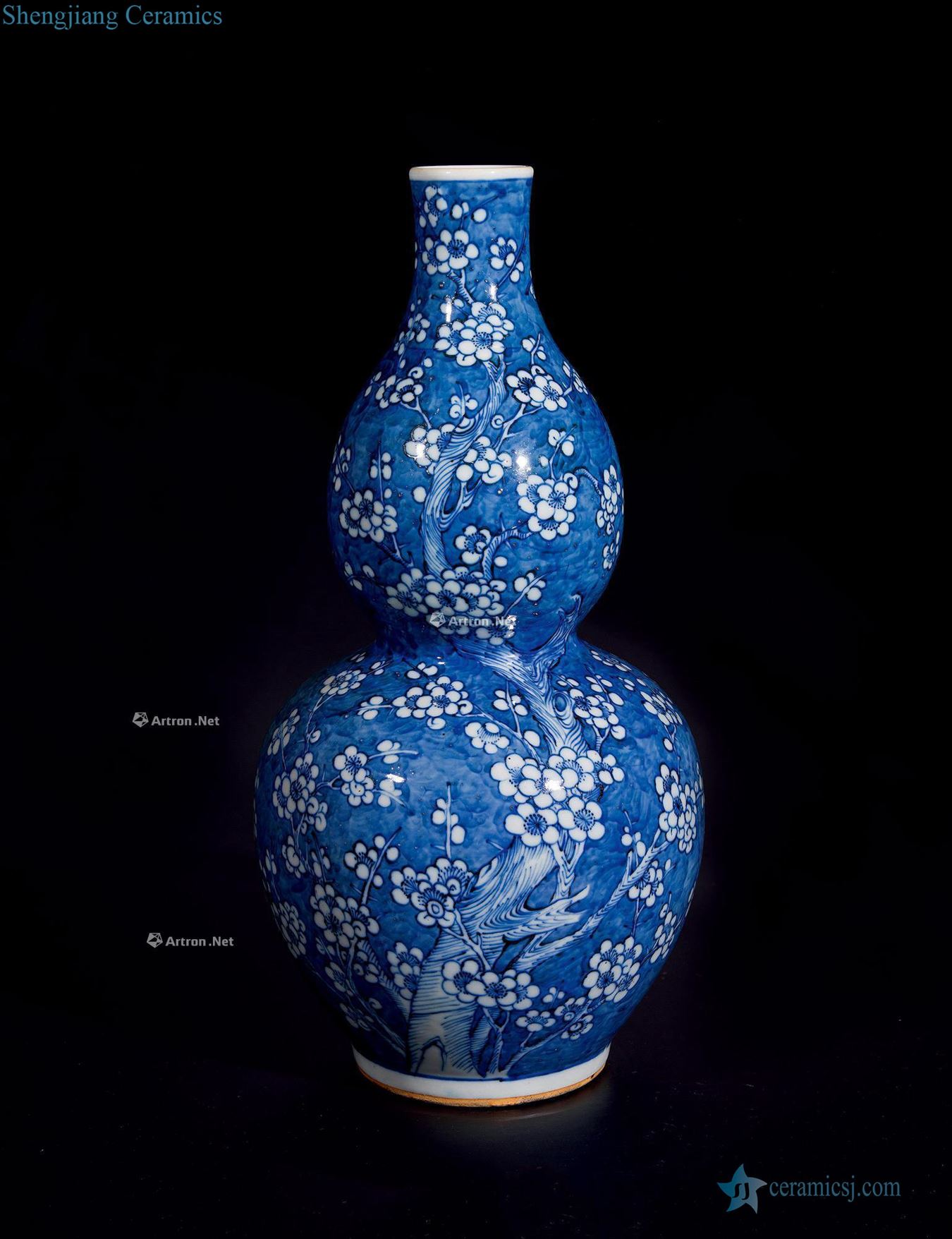qing Blue and white ice MeiWen gourd bottle