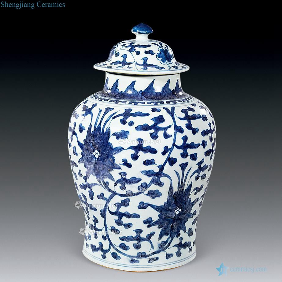 Early qing dynasty blue and white flower general grain tank