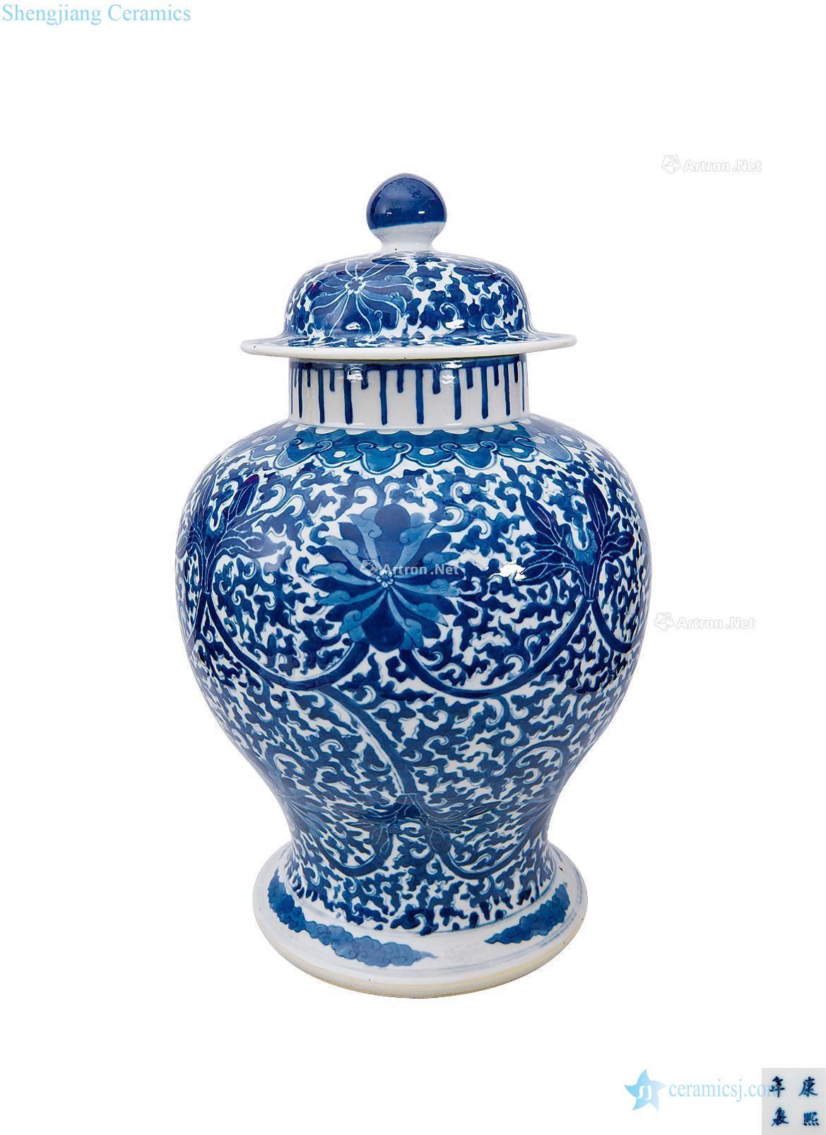 Qing dynasty blue and white flower general grain tank