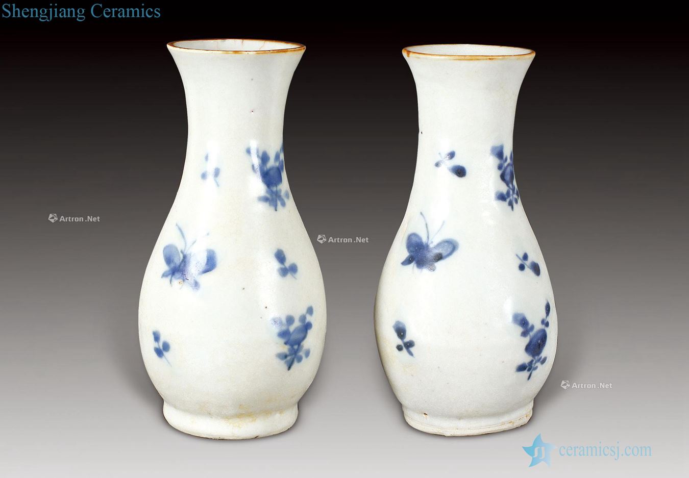 Ming Blue and white okho spring bottle (a)
