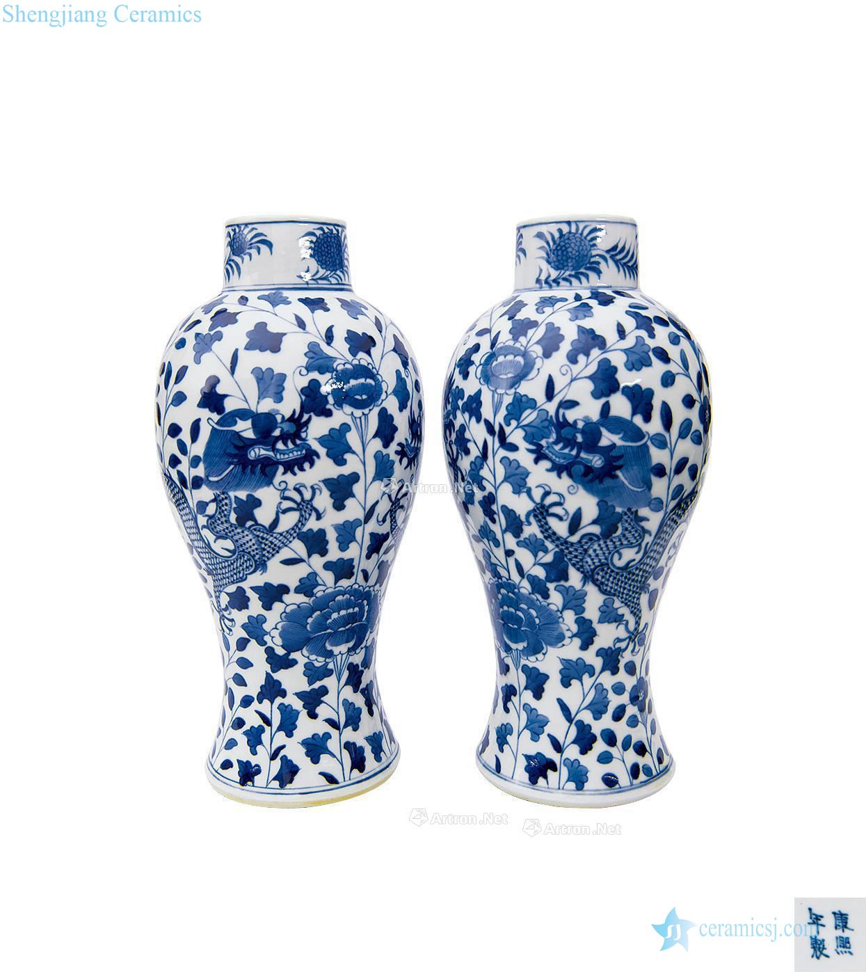 The qing emperor kangxi Blue and white dragon goddess of mercy bottle (a)