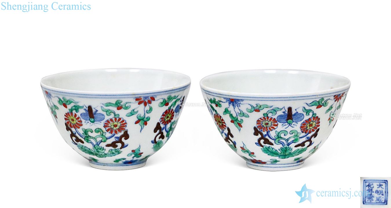 Ming bucket CaiTuan chrysanthemum green-splashed bowls (a)
