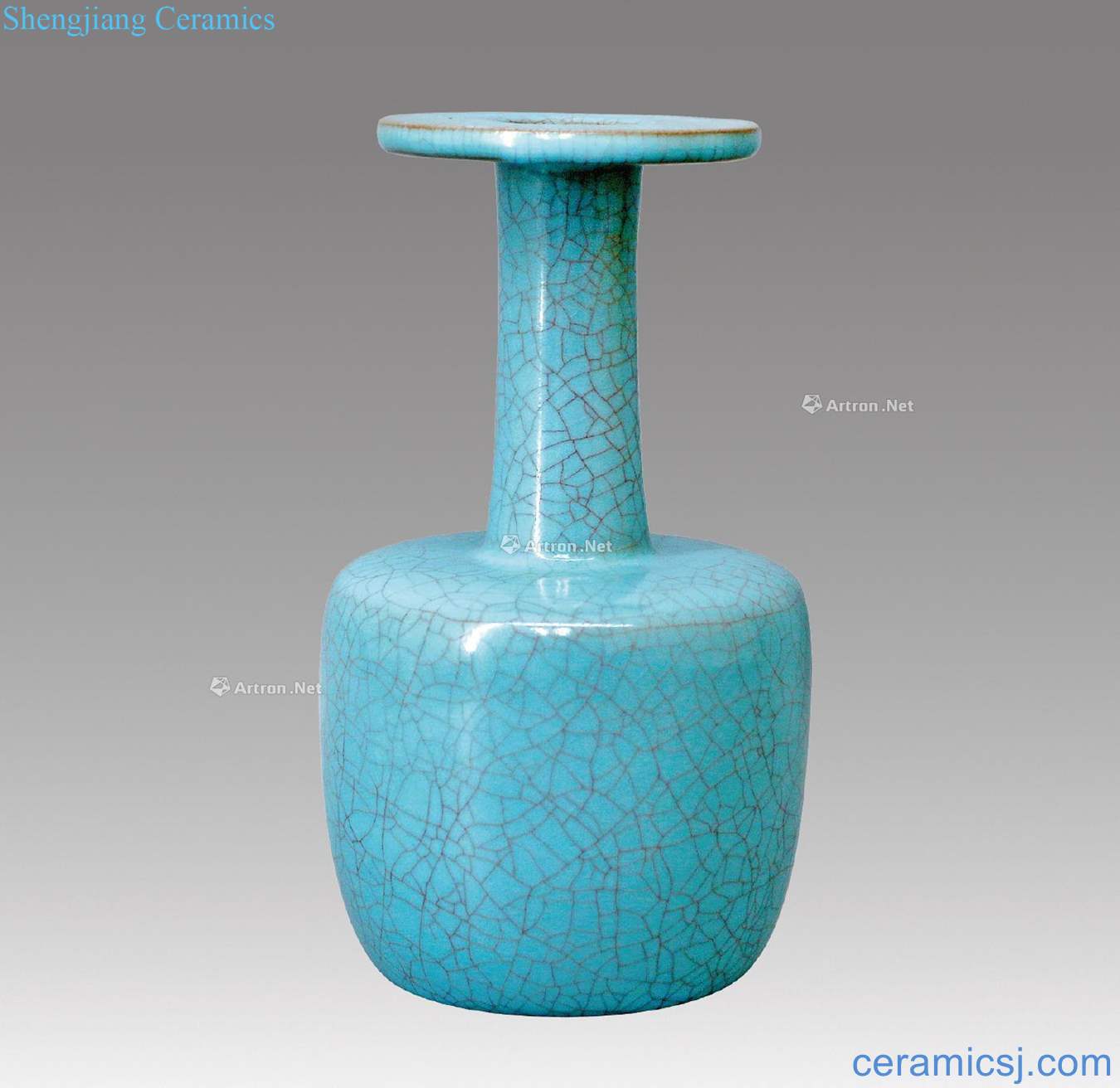 The southern song dynasty Your kiln paper mallet bottle