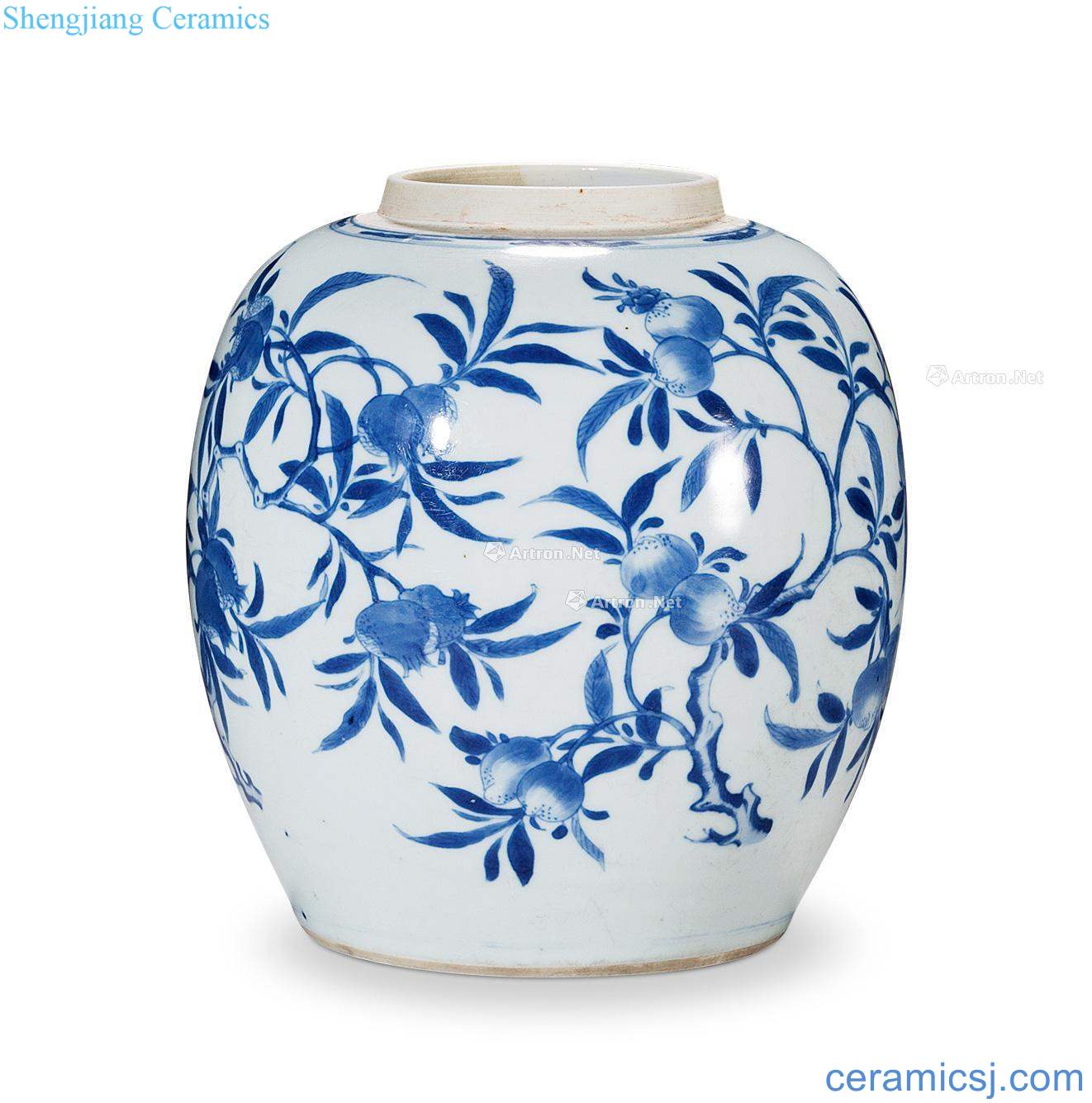 The qing emperor kangxi Blue and white melon lines can fold branches