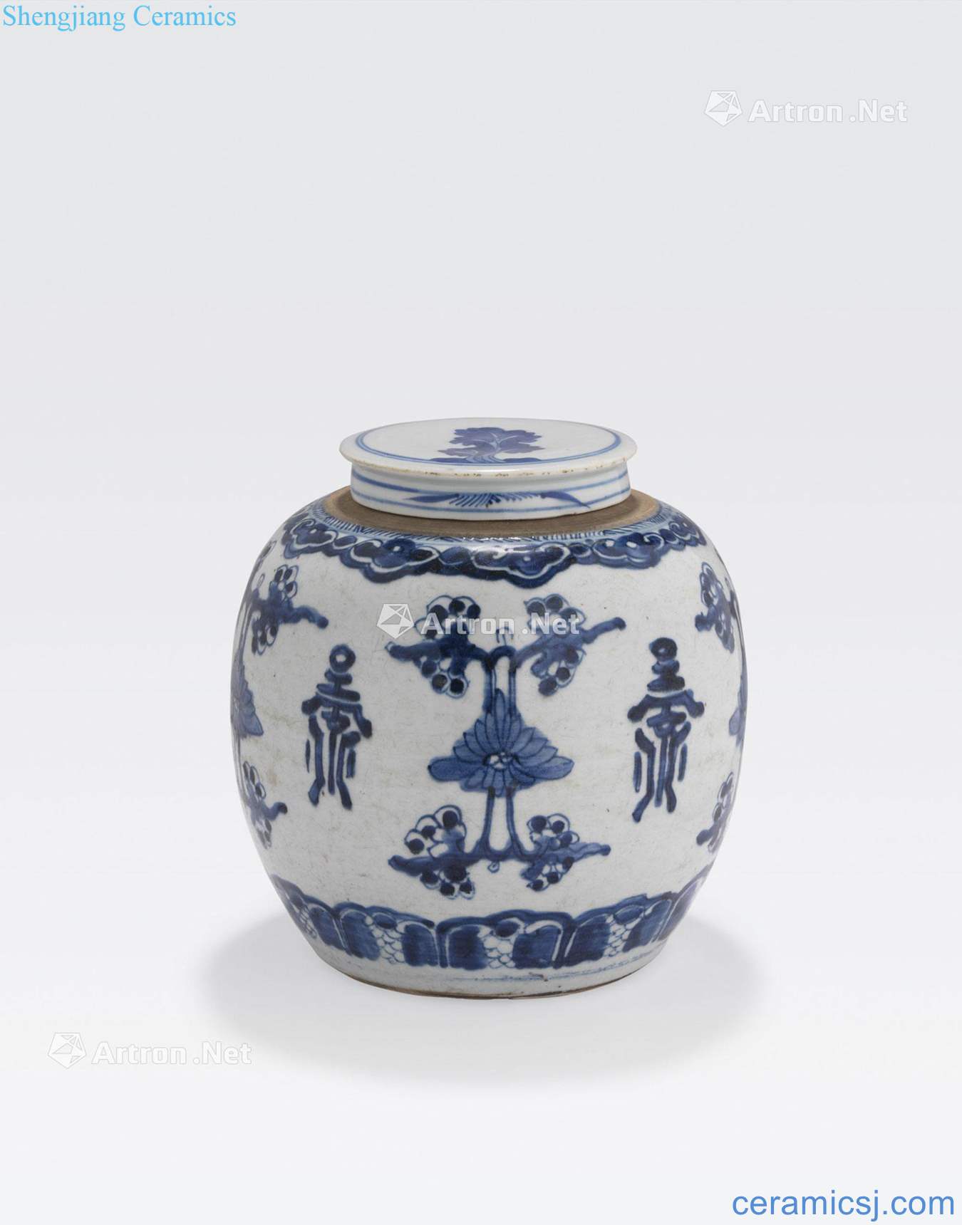 The 19 th century A BLUE AND WHITE GINGER JAR AND COVER