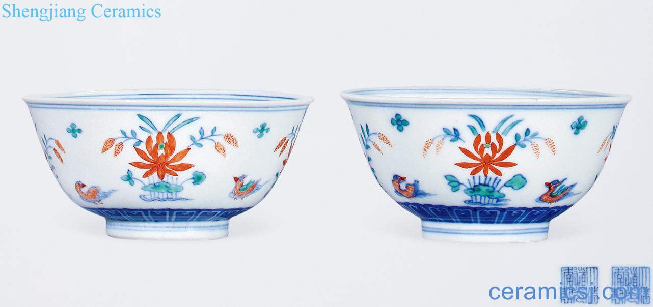 Qing daoguang bucket color lotus pond yuanyang bowl (a)