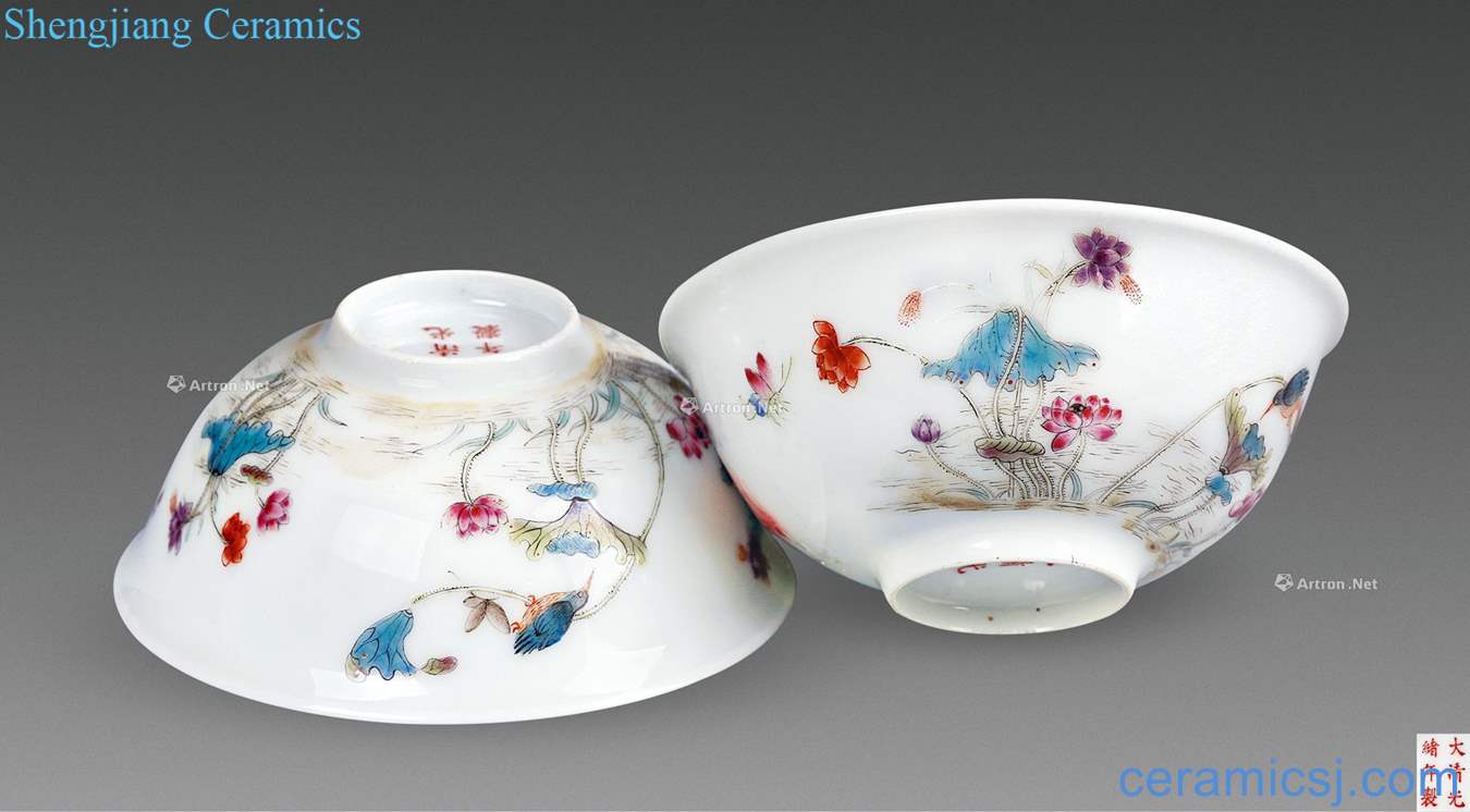 Pastel reign of qing emperor guangxu Lotus pond clear interest bowl (a pair of two)
