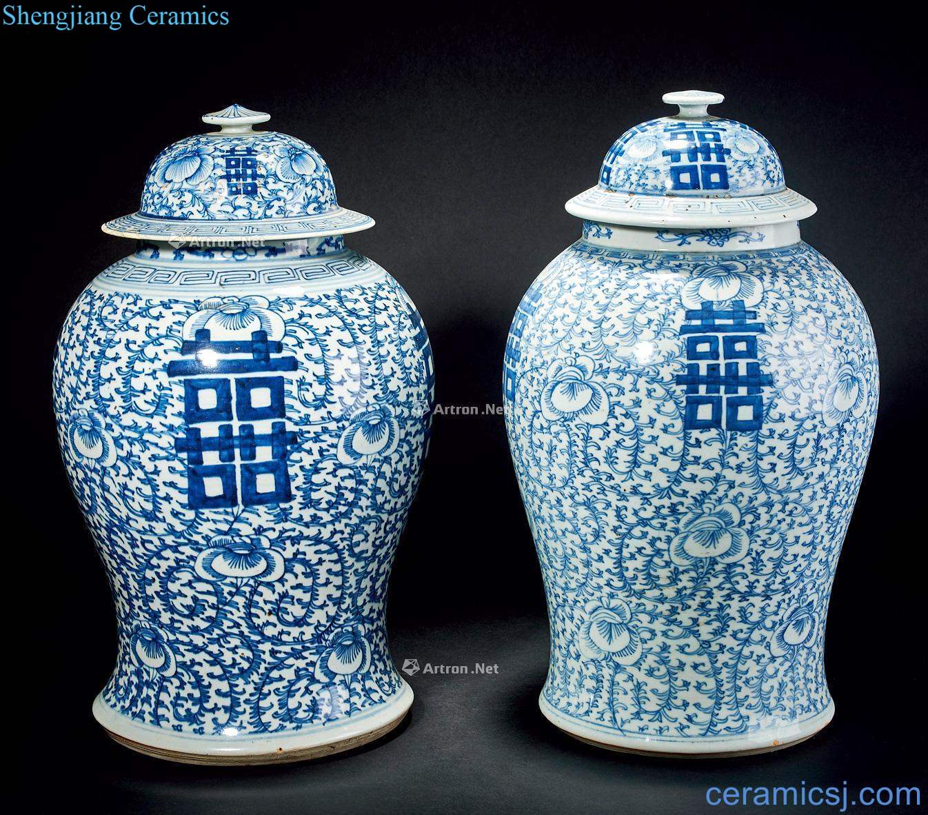 qing Blue and white flower general tank (a)