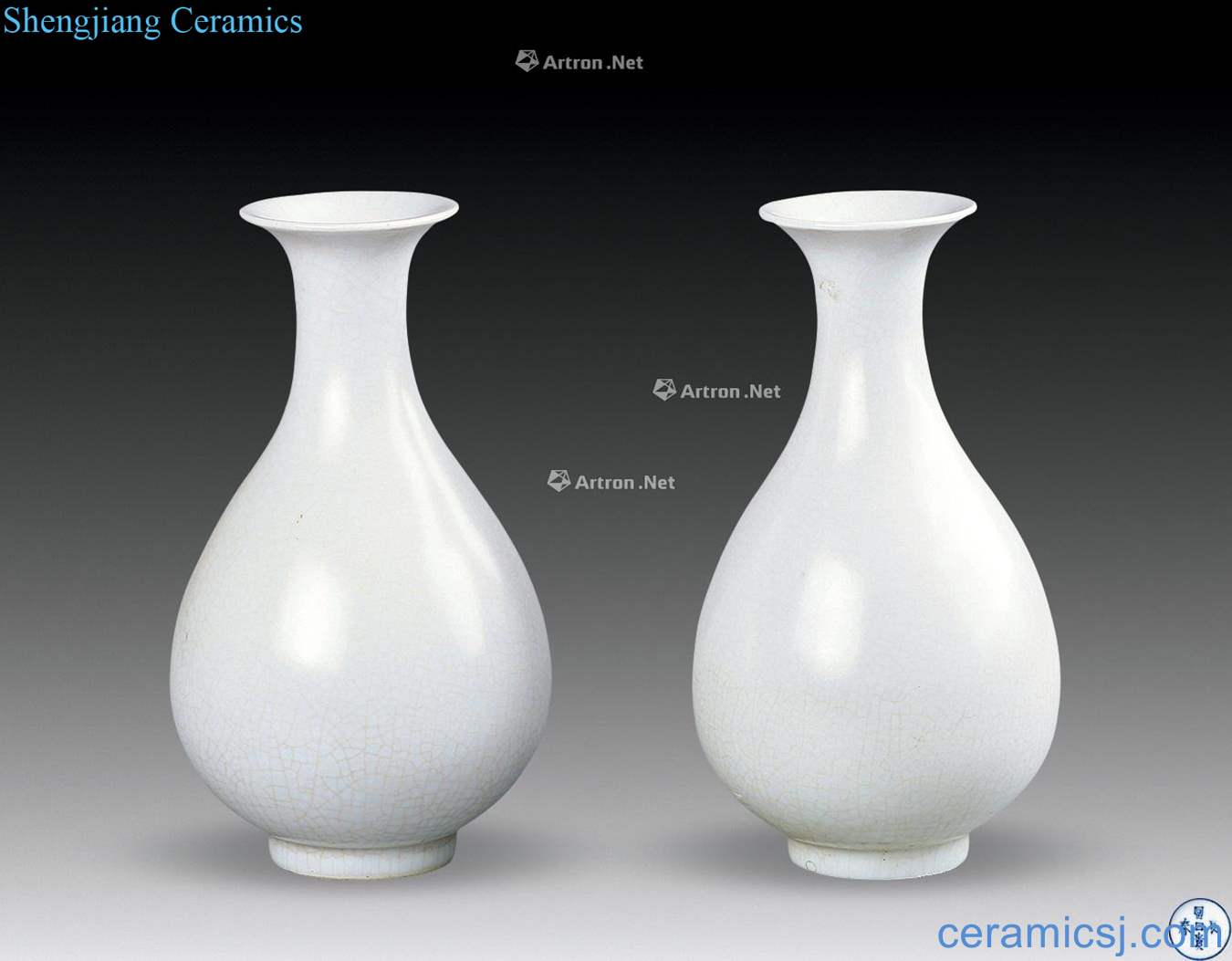 Ming the riches and honor in changchun White glaze okho spring bottle (a pair of two)
