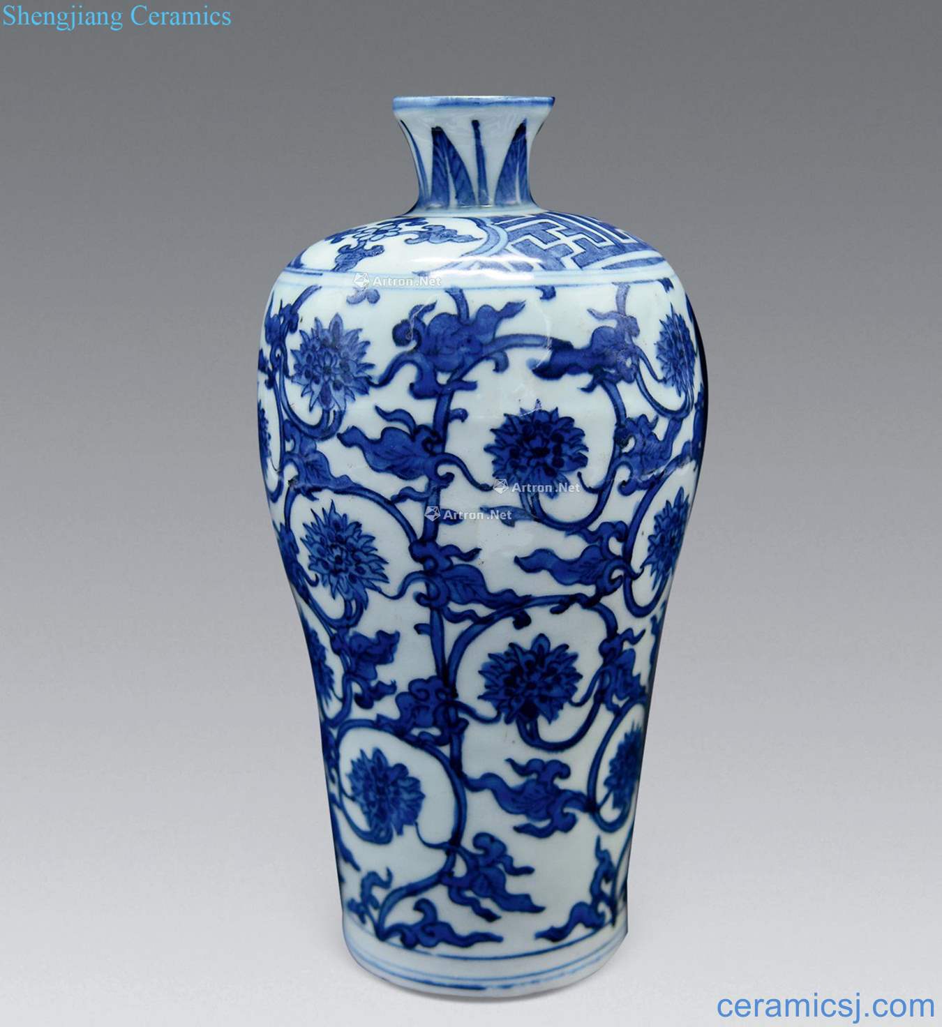 qing Blue and white shade lines may bottle