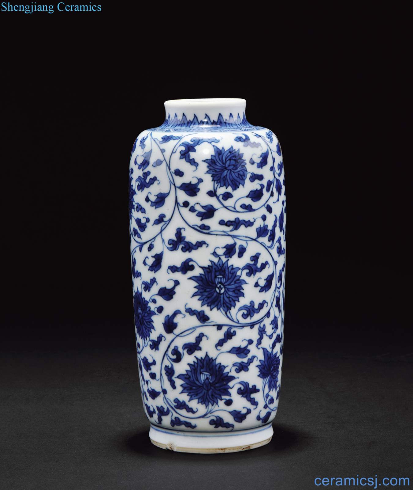 The qing emperor kangxi Blue and white flower grain bottle