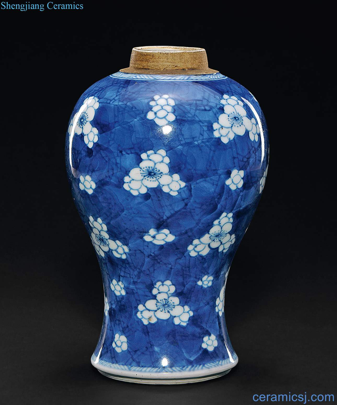 The qing emperor kangxi Blue and white ice MeiWenMei bottle