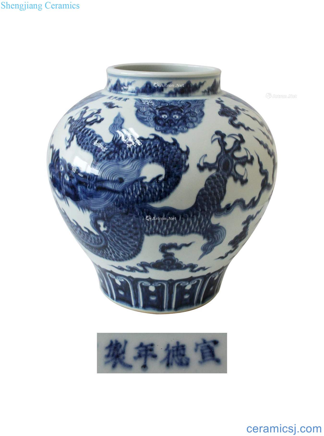 Blue and white YunLongWen pitcher of (a)