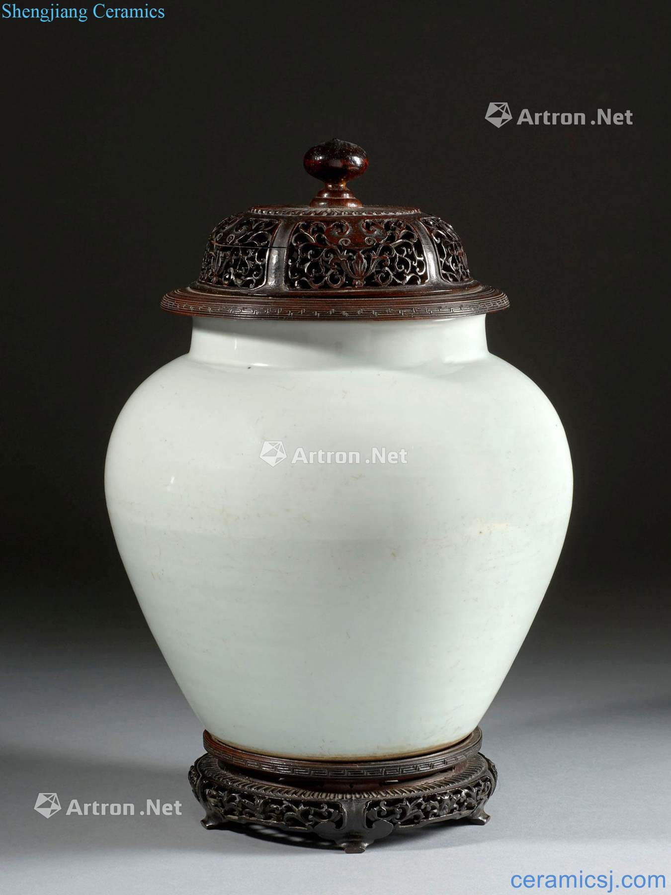 CHINA, 17 th - 18 th CENTURY A WHITE PORCELAIN VASE AND WOODEN COVER AND STAND