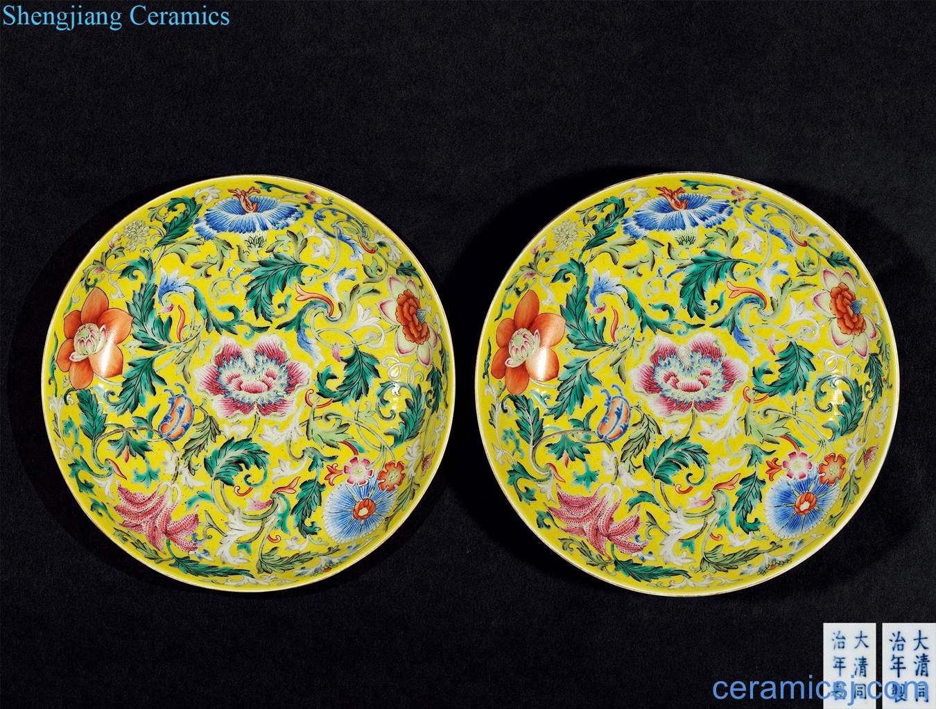 dajing Yellow to pastel flowers tray (a)