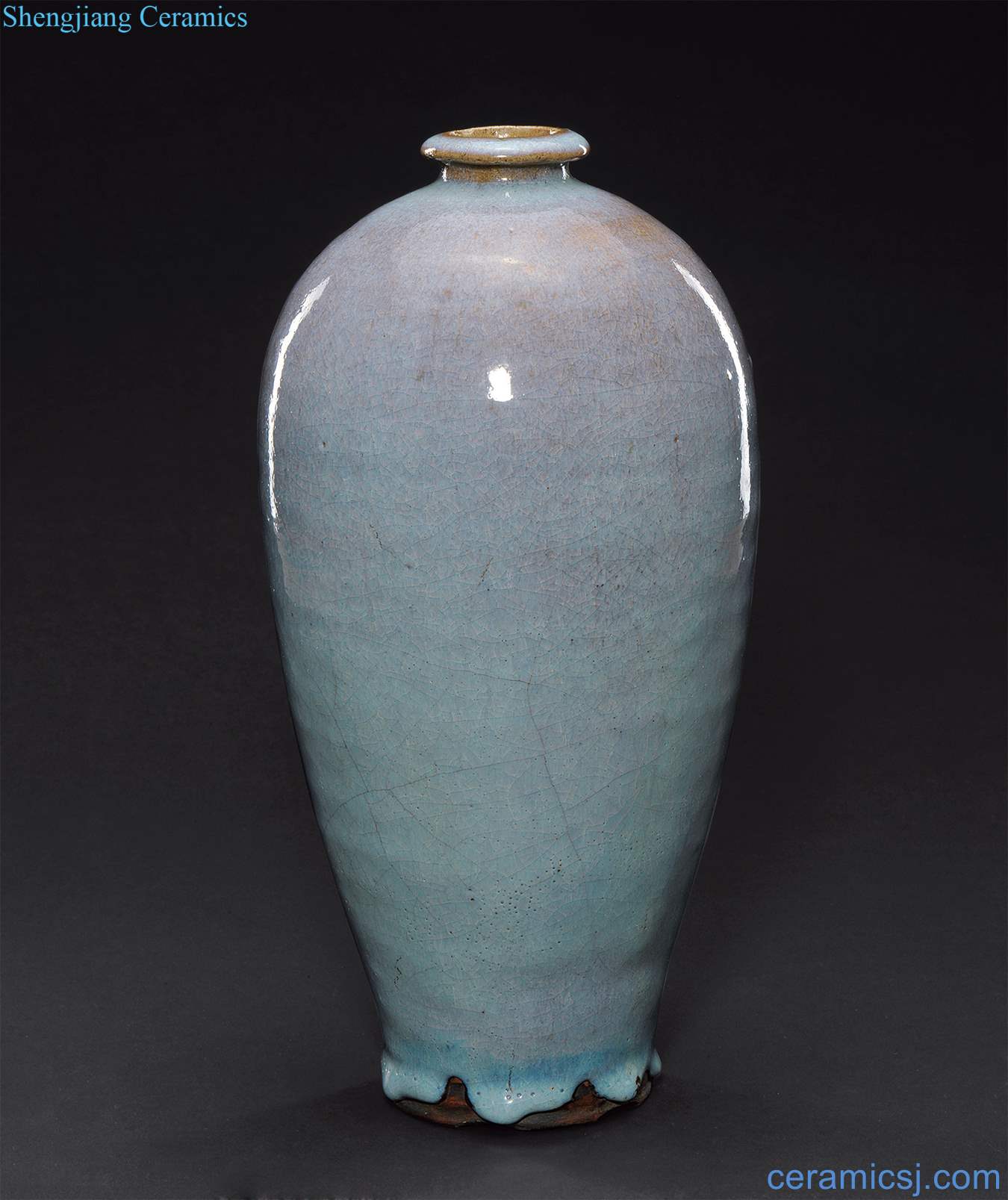 yuan Jun glaze plum bottle