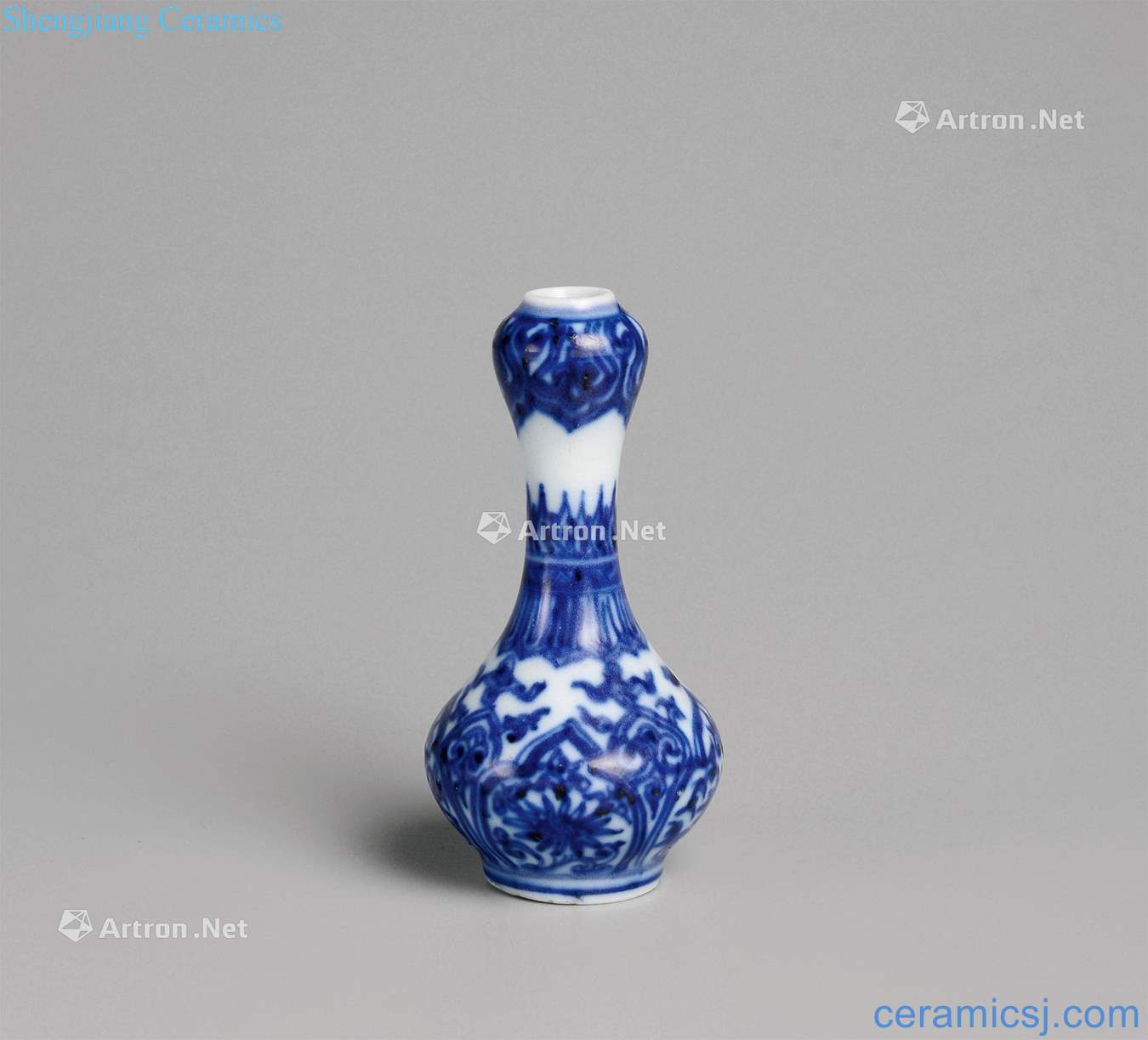 The qing emperor kangxi Blue and white best lotus-shaped flowers small bottles of garlic
