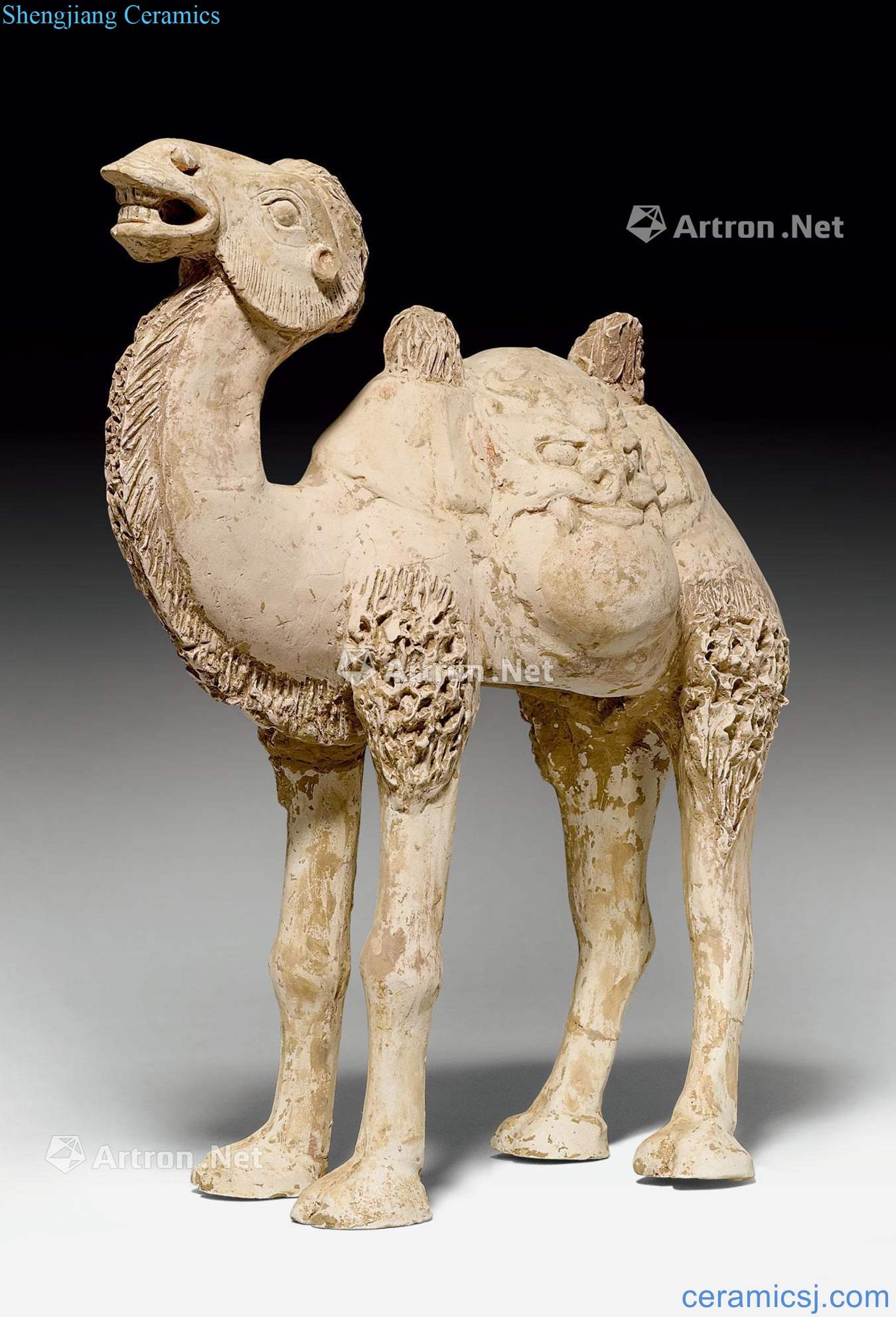 Tang dynasty A MAGNIFICENT FIGURE OF A POTTED CAMEL.