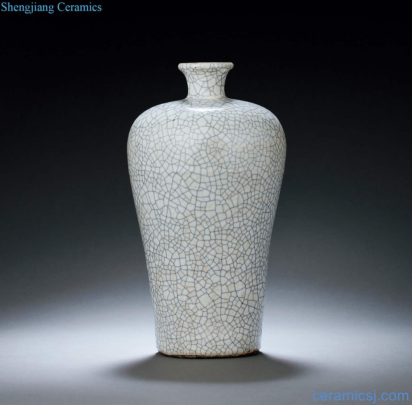 Ming wanli Imitation of elder brother glaze plum bottle