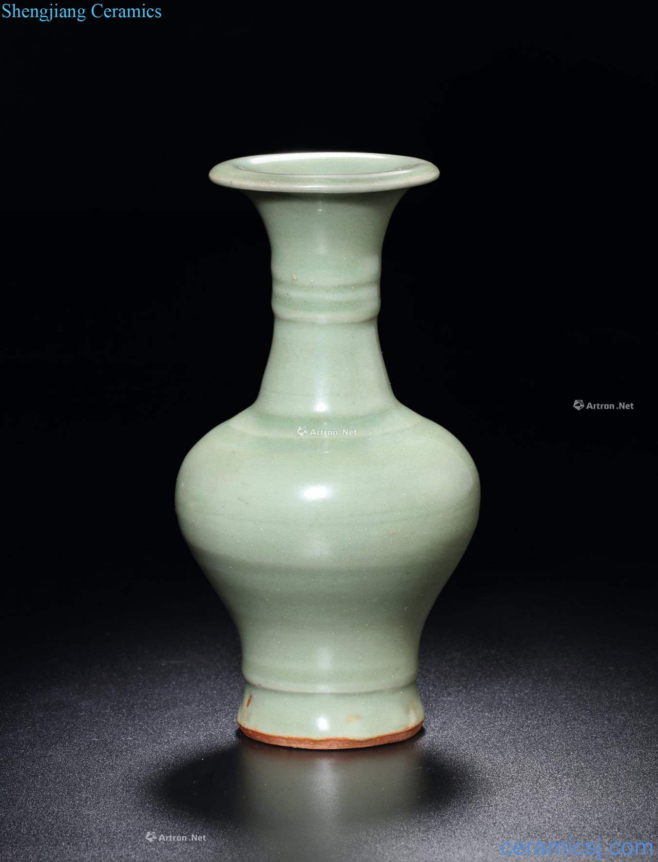 yuan Longquan celadon bowstring grain mouth bottle