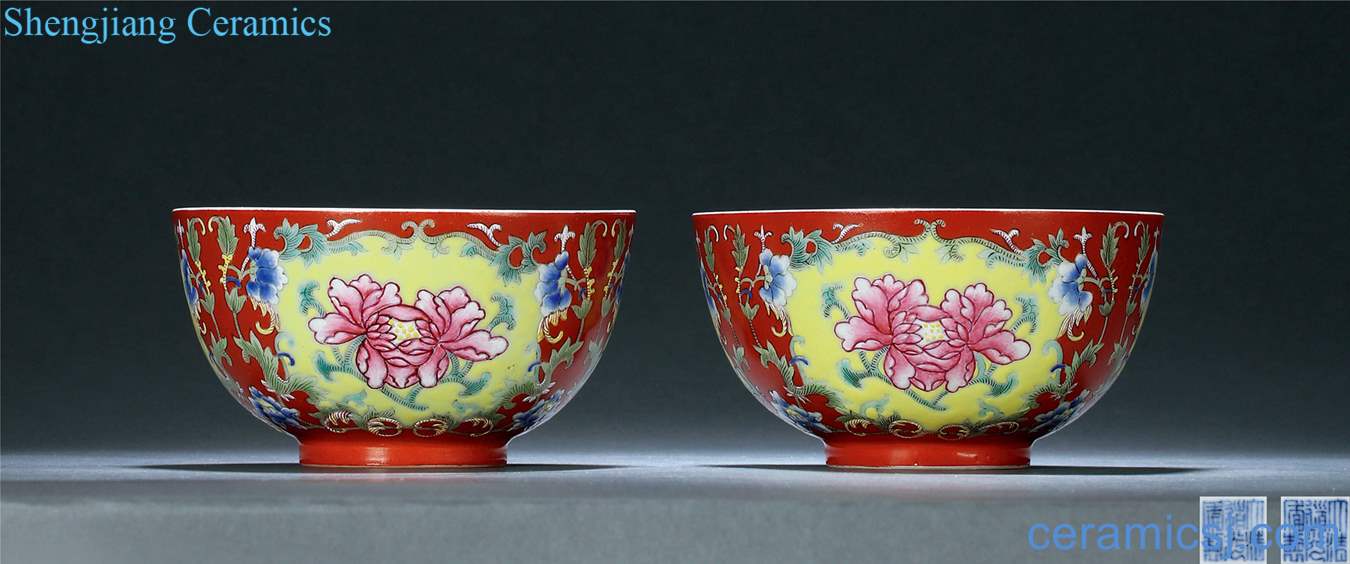 Qing daoguang Coral red koyo coloured flowers bloom green-splashed bowls (a)