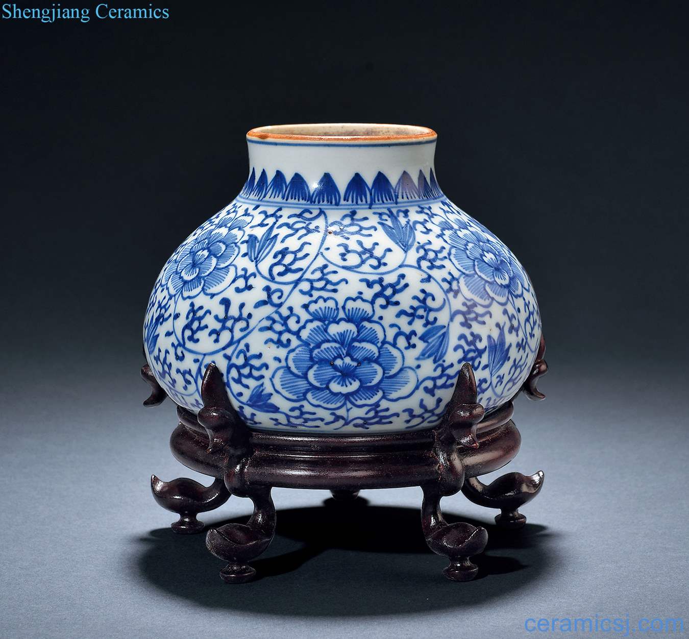 The qing emperor kangxi Blue and white flower pot around branches
