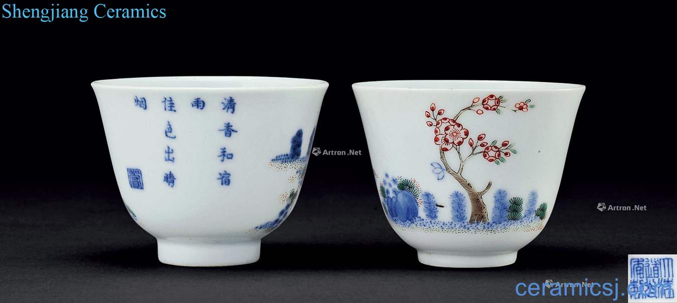 Qing daoguang Colorful flora cup (2)