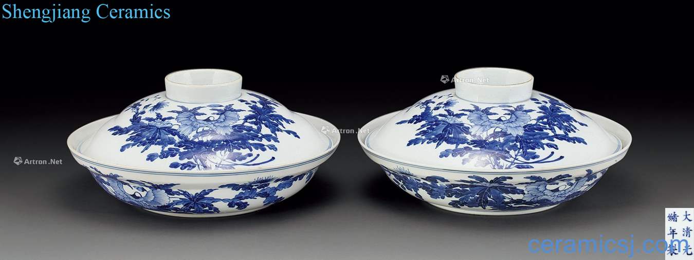 Qing guangxu Blue and white flowers tureen (2)