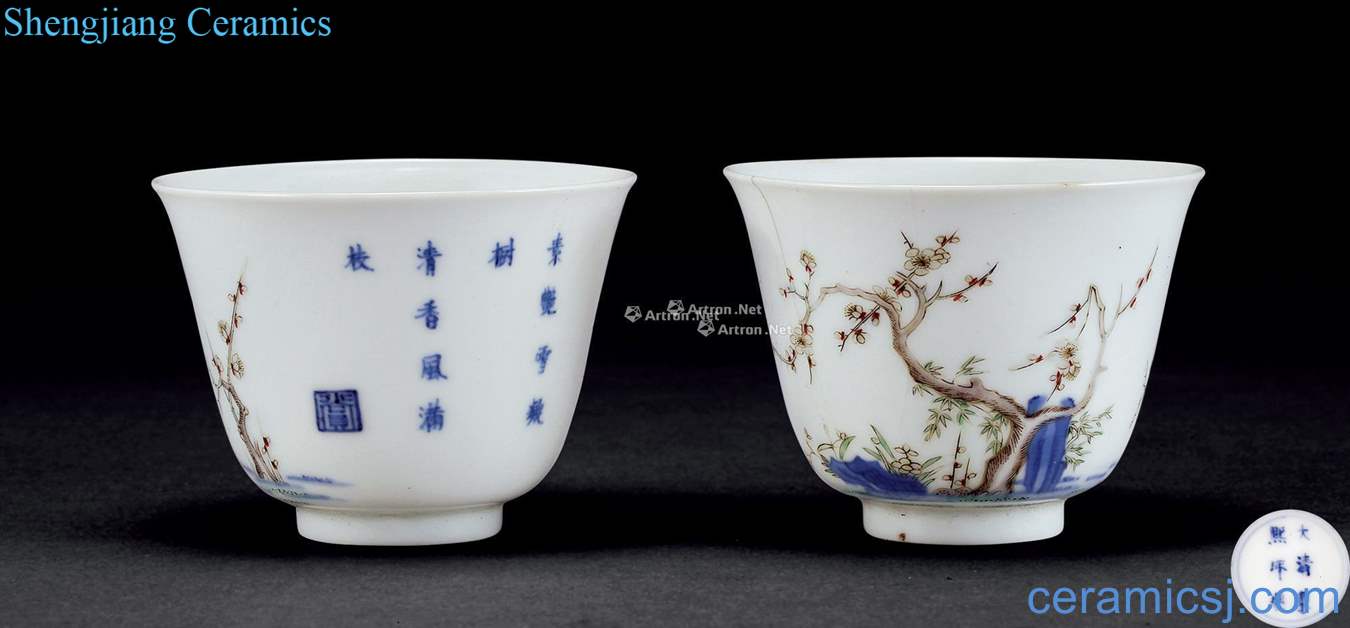 The qing emperor kangxi Colorful plum blossom poems cup (2)