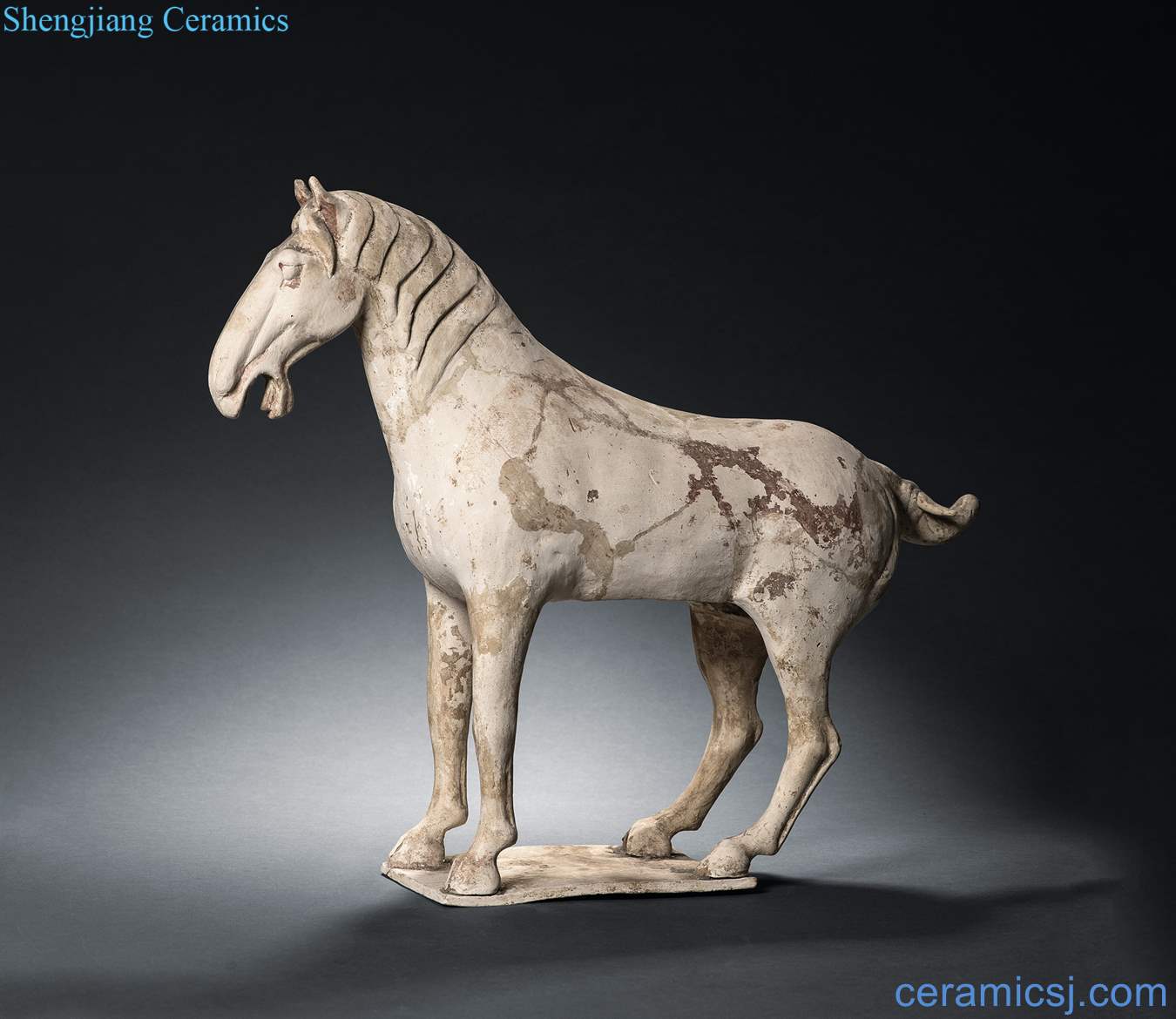 Tang ceramic horse