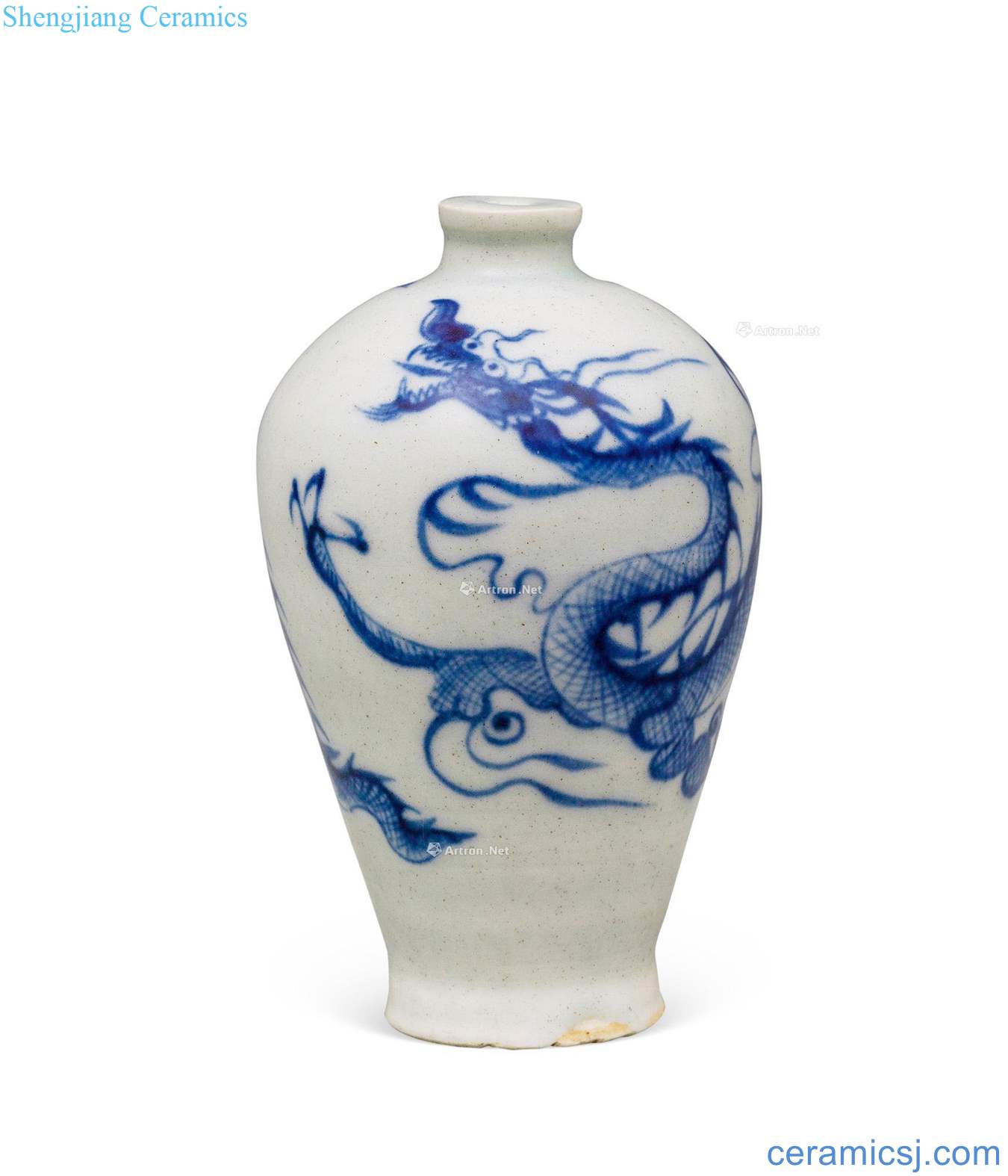 yuan Blue and white dragon xiaomei bottles