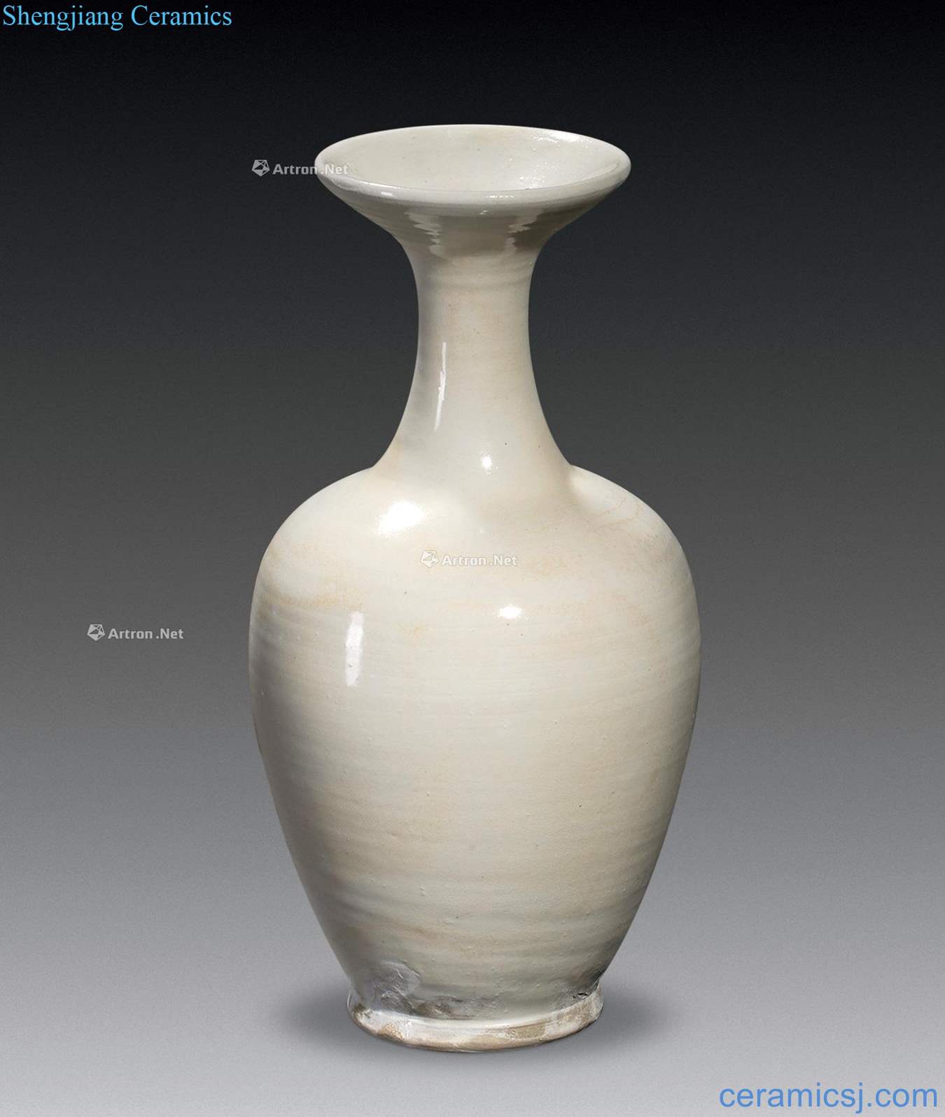 The five dynasties Tangyan valley kiln craft bottles