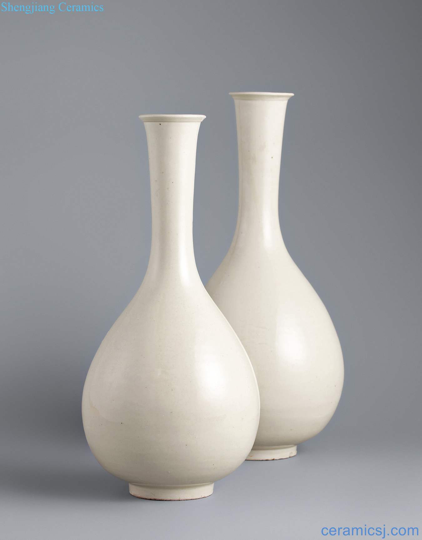 Gold (1115-1234), kiln white glaze okho spring bottle (a)